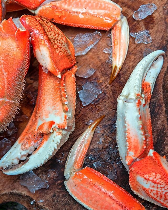 Fresh crab 🦀 
Client: @decrab
