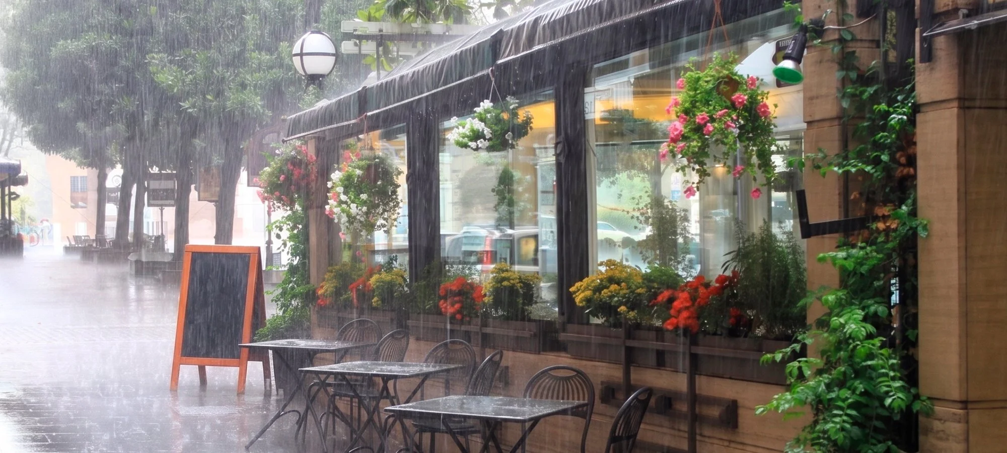 Verano Chilango: El arte de monetizar la lluvia y crear experiencias urbanas
