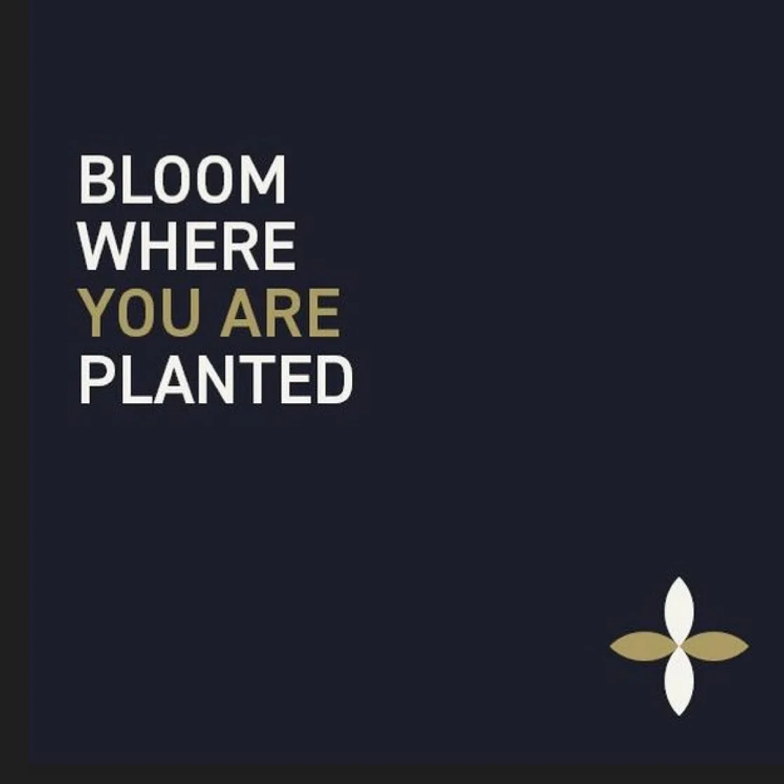 Go online to book your OK Med card or ok Mmj renewal!  Oklahoma residents only. Questions about residency?  DM us!