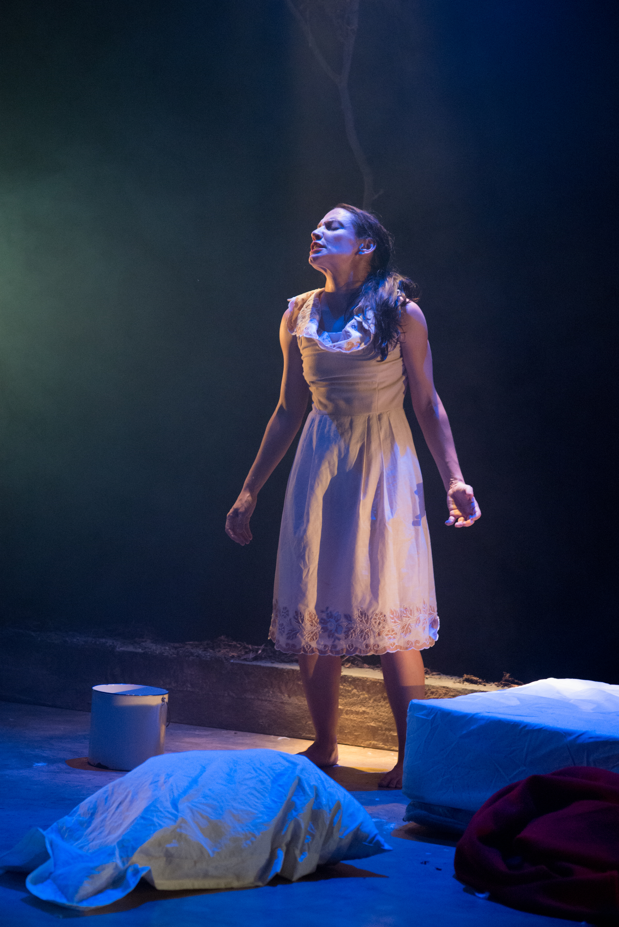 Wolf Red 1_Lois Maskell.jpg