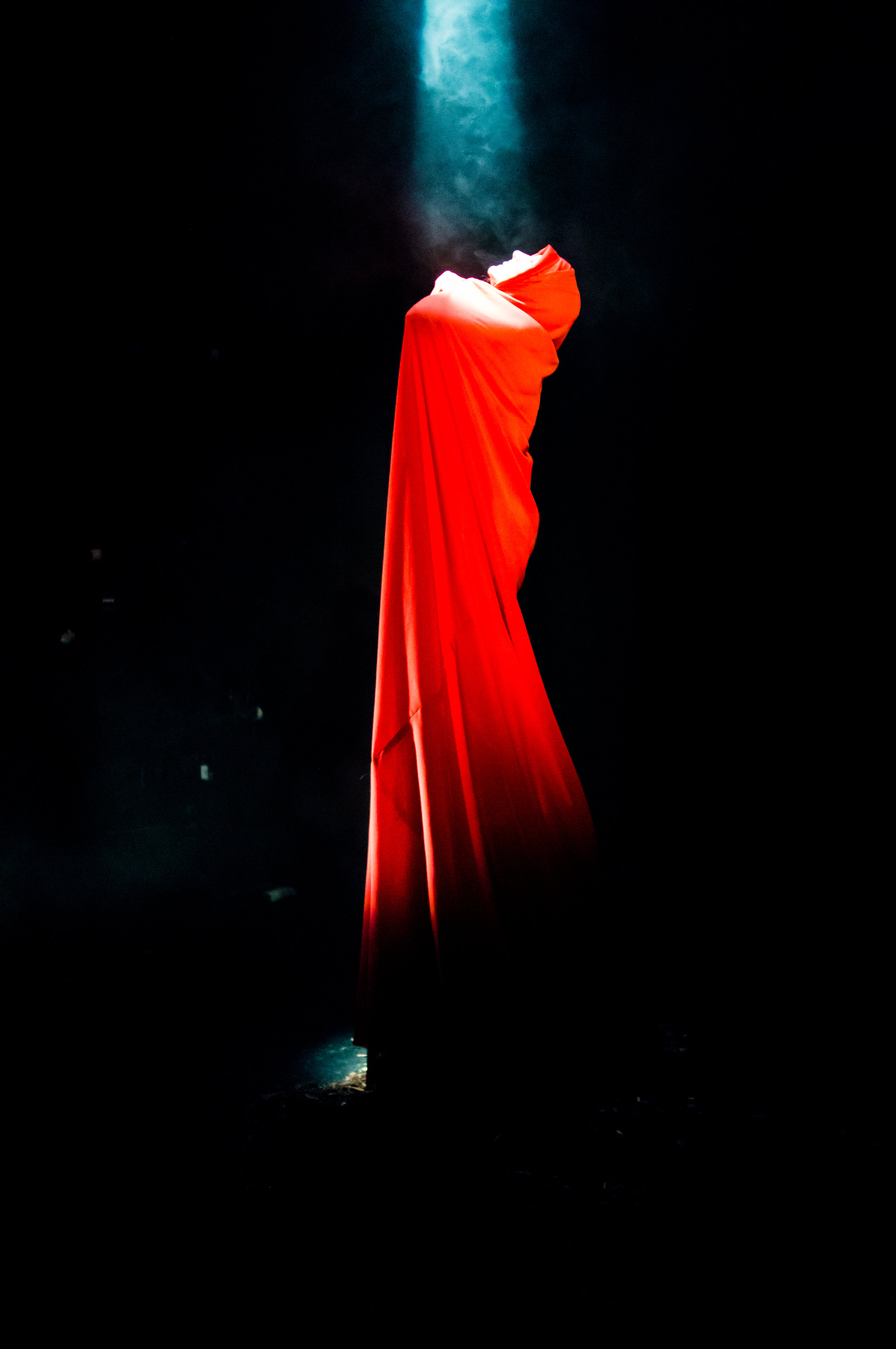 Wolf Red 2 large.jpg