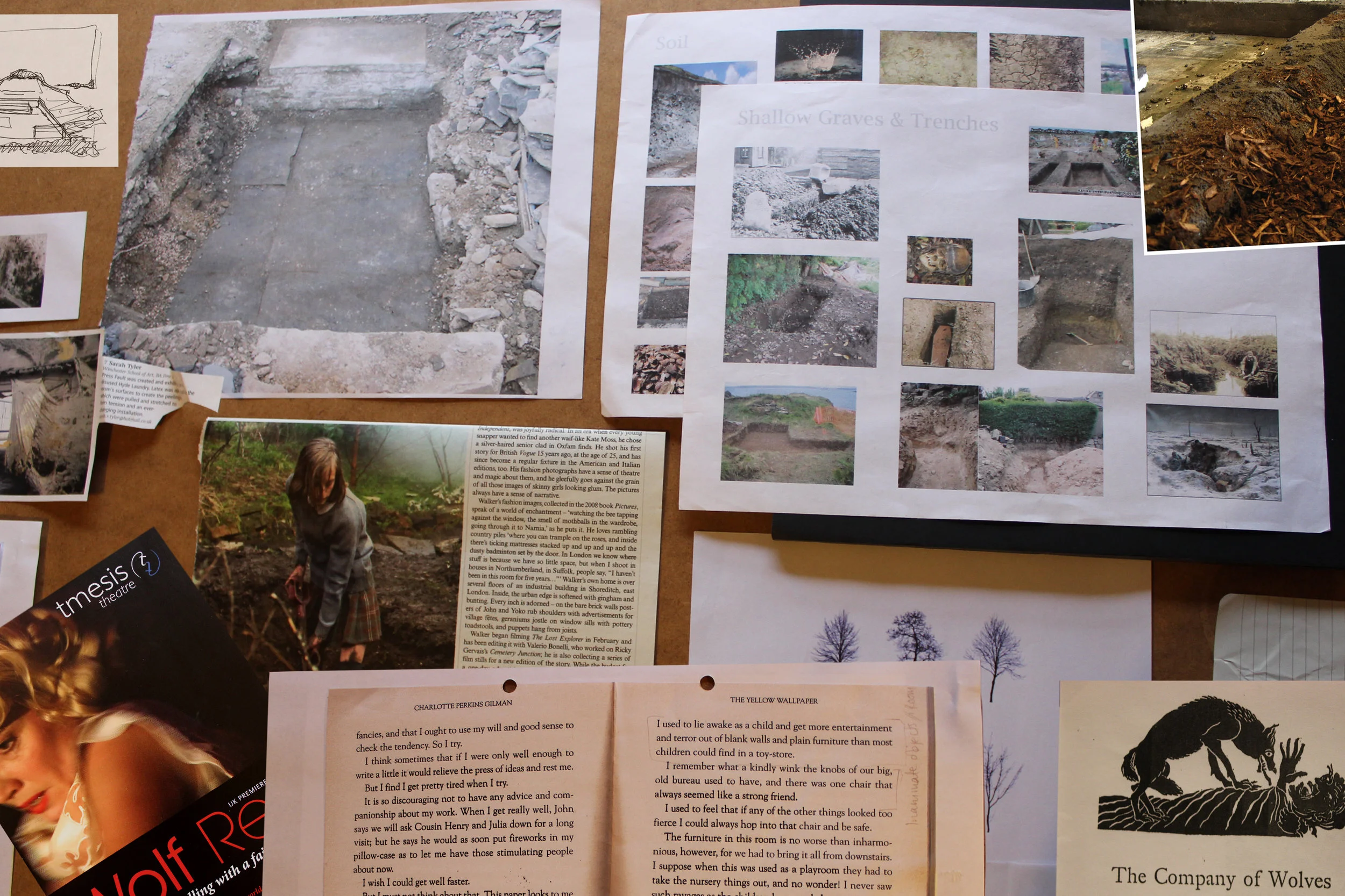 Research and Sketches Wolf Red.jpg