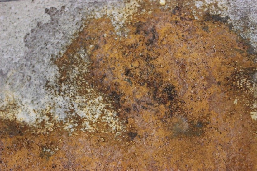 Picture 1.jpg