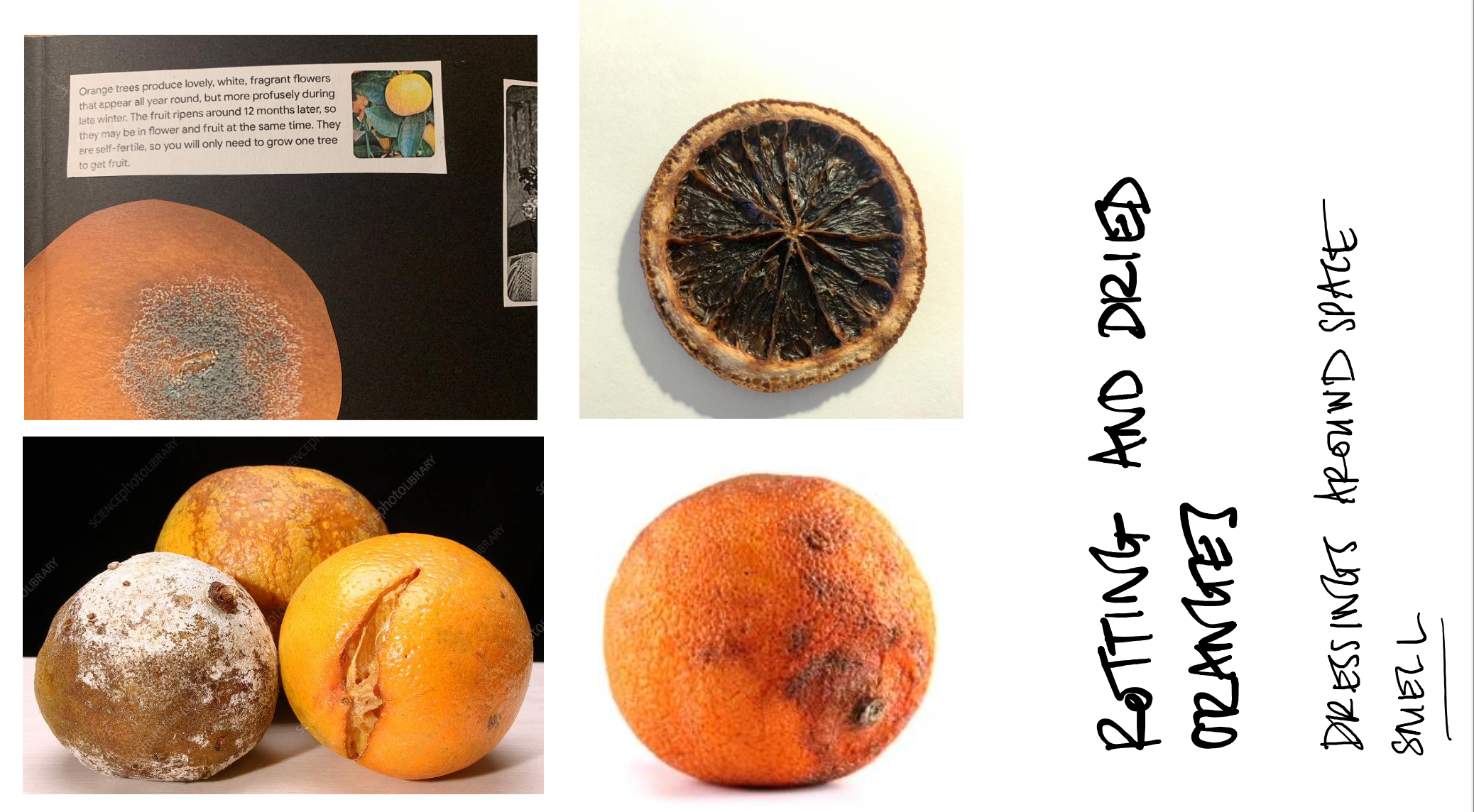 Screenshot 2024-11-16 at 17.27.42.png