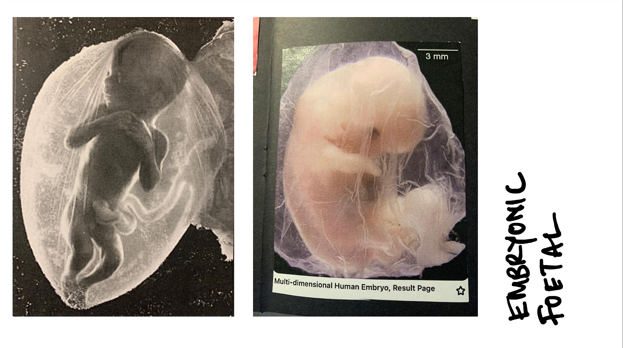 Screenshot 2024-11-16 at 17.25.36.png