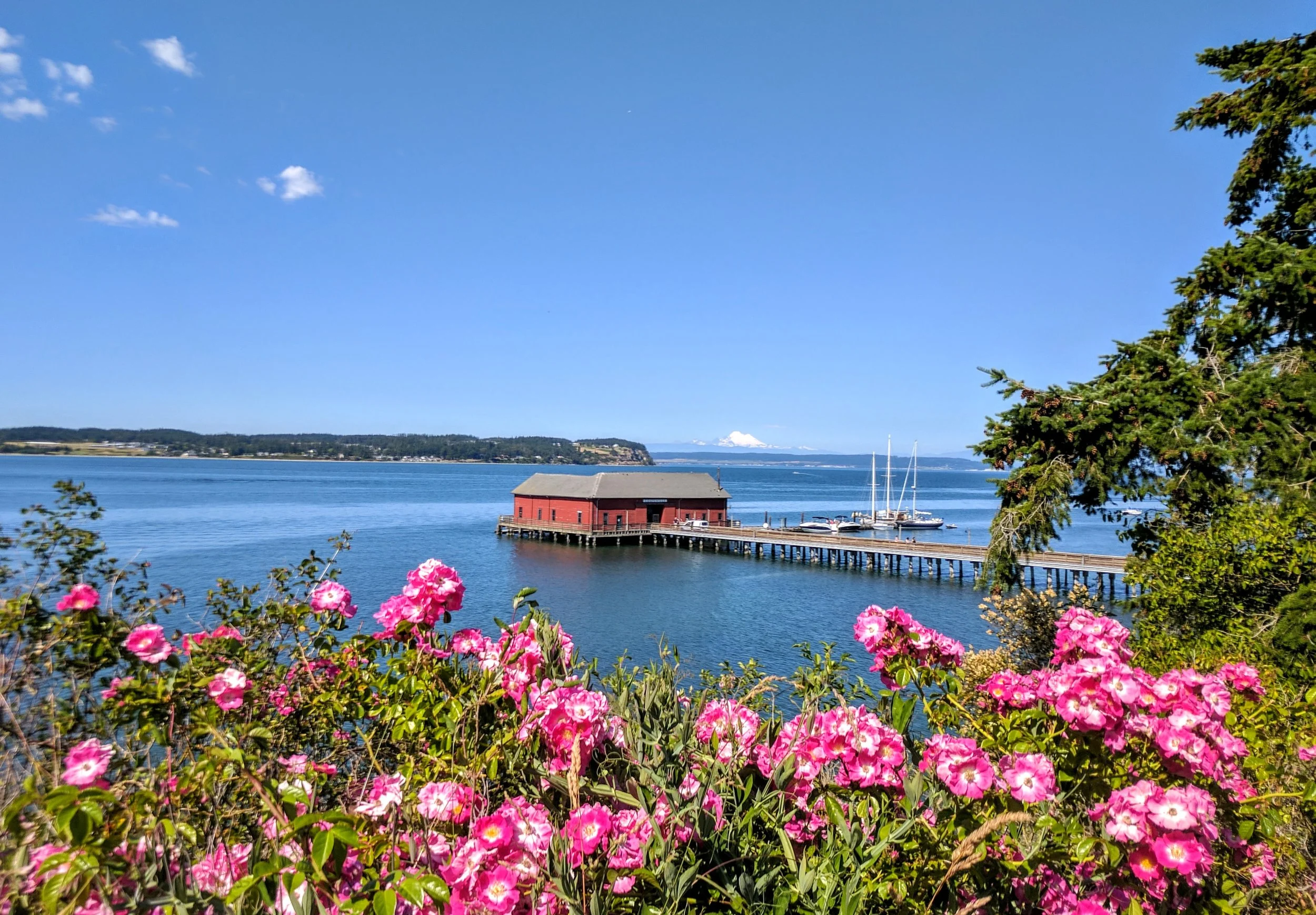 IMG_20170705_161647.jpg
