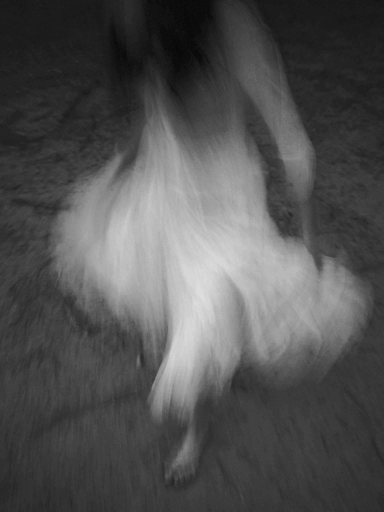 Ghost Dancer, 2016