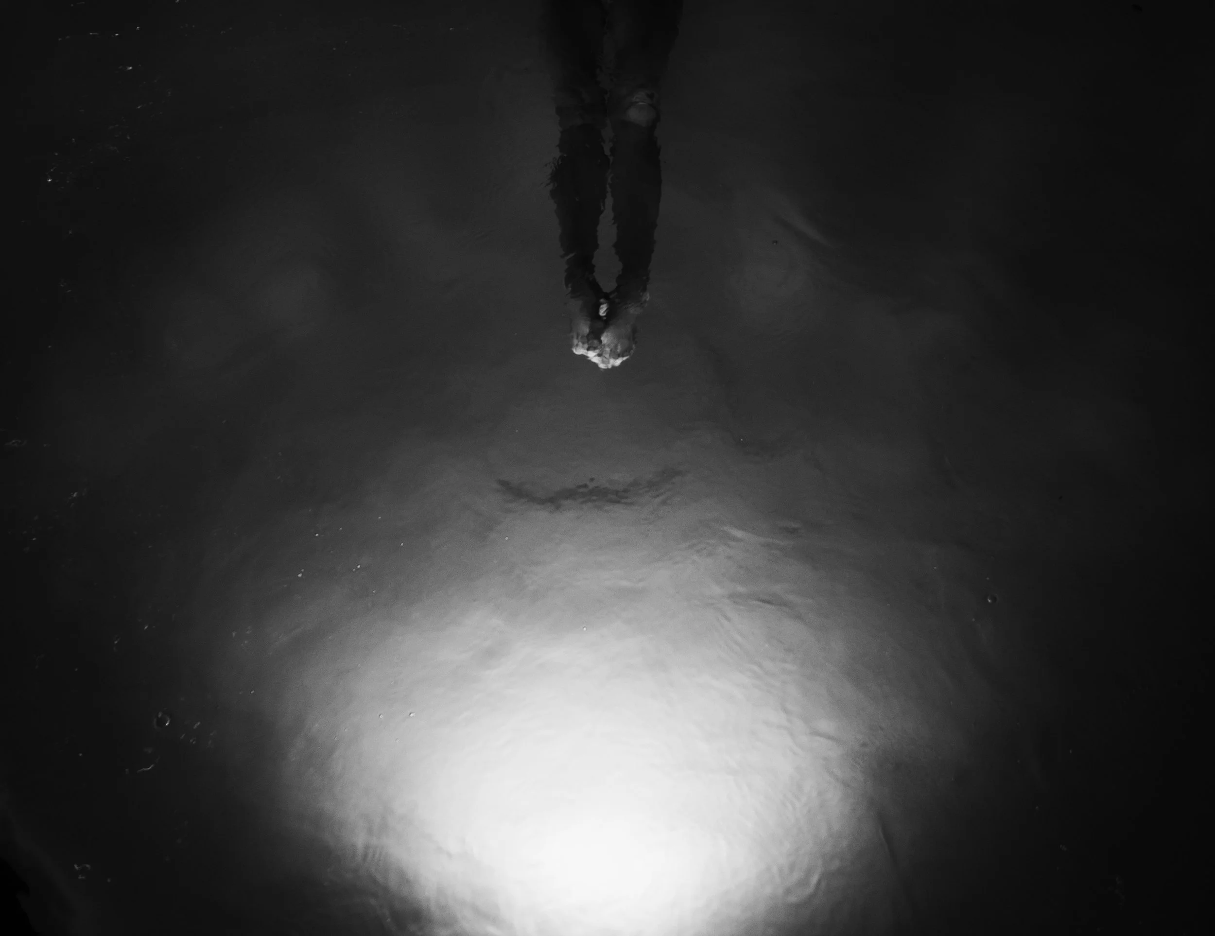 The Descent, 2017