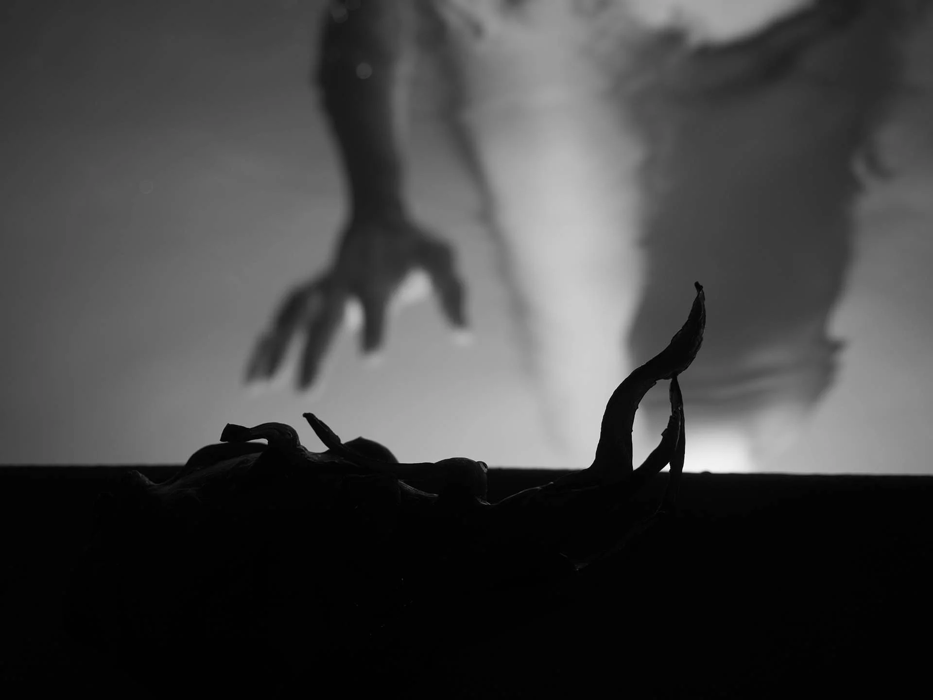 The Approach, 2017