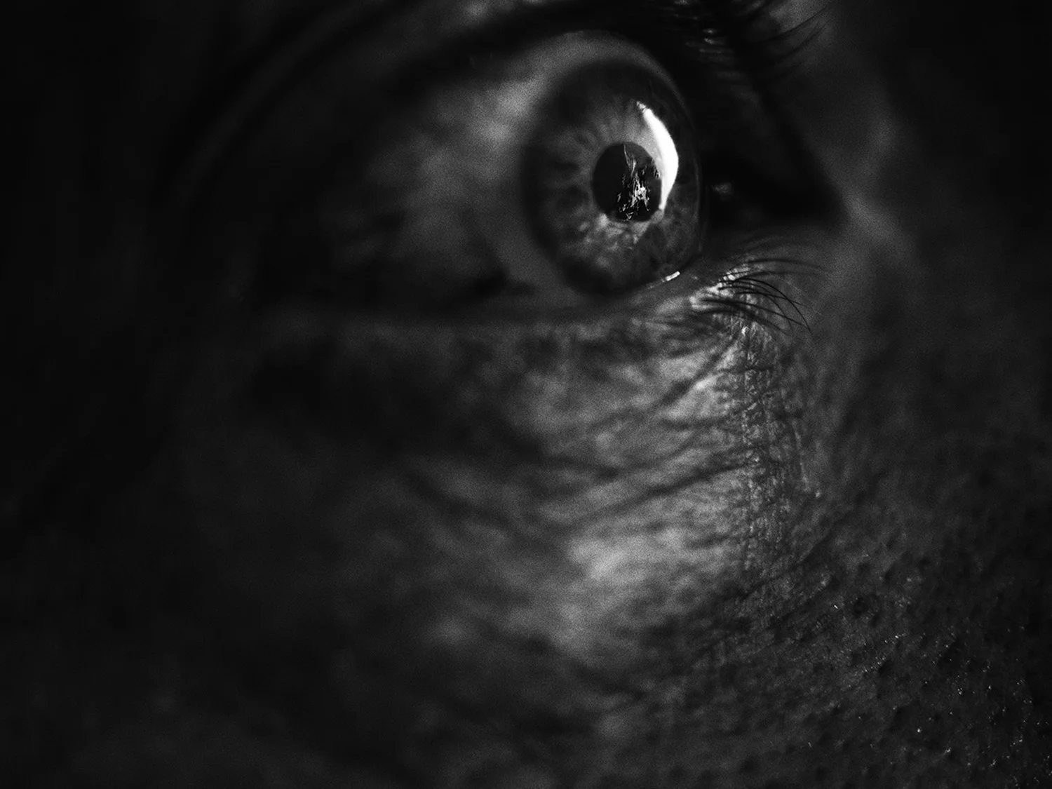 Fire Eye, 2018