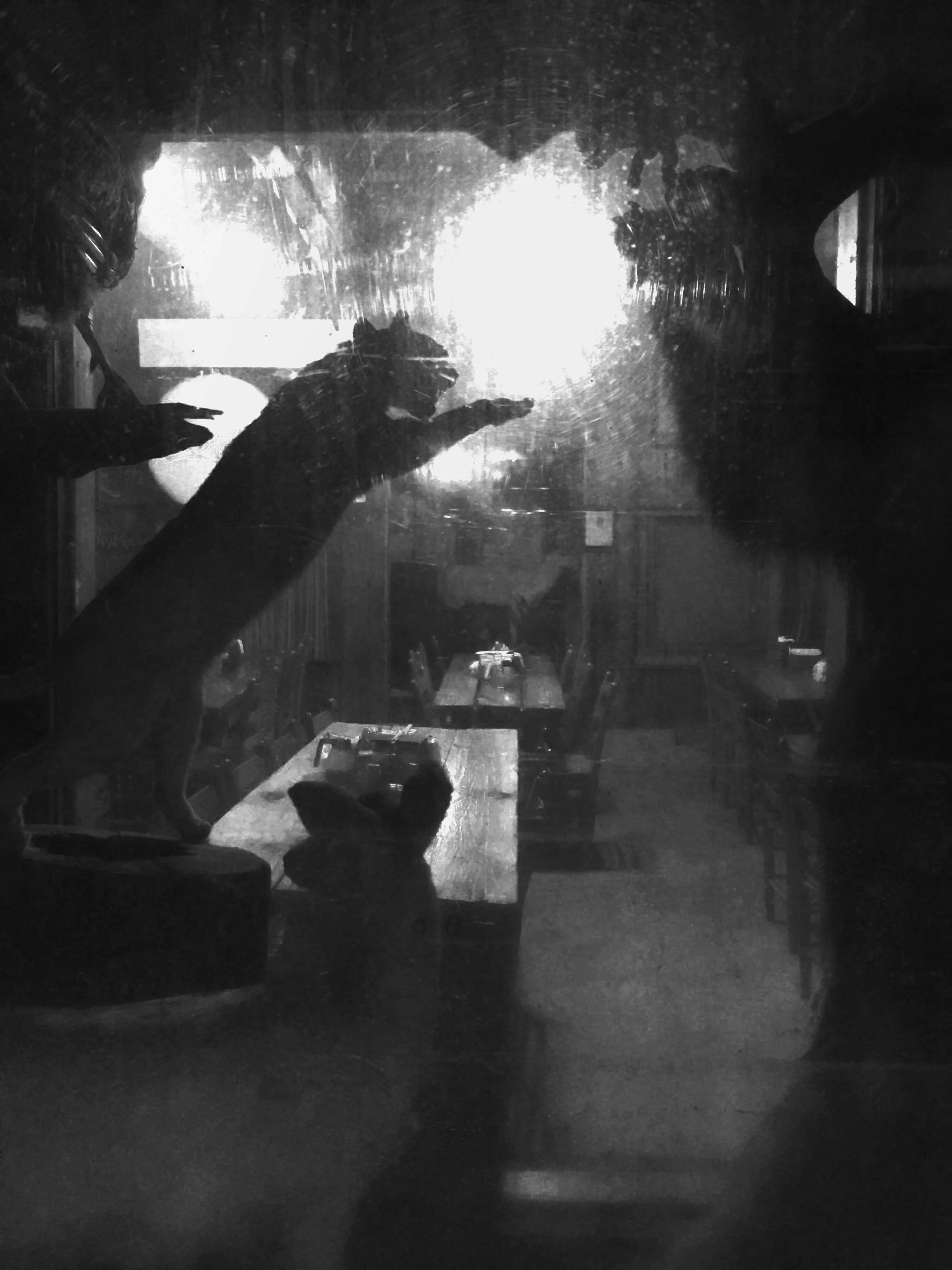Night Moves, 2016