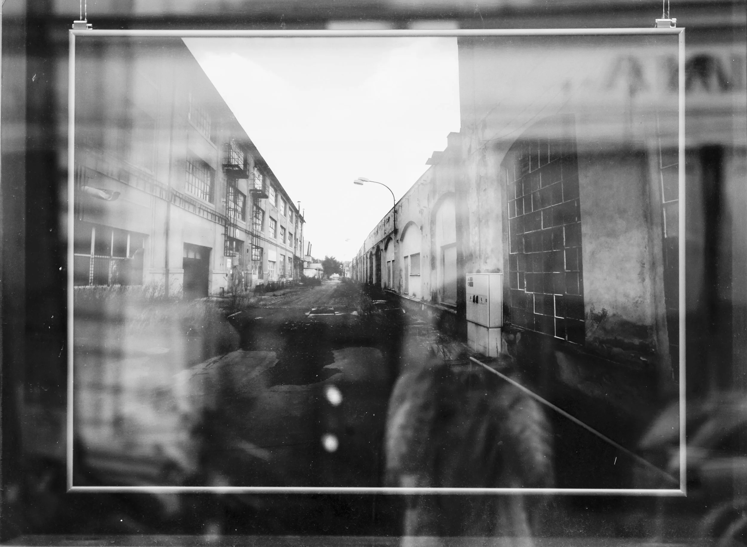 Identity, 2016