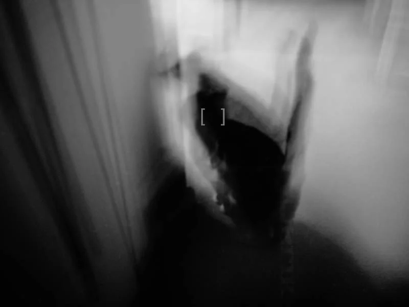 Tuesday_July 23_2019_07:45_EST