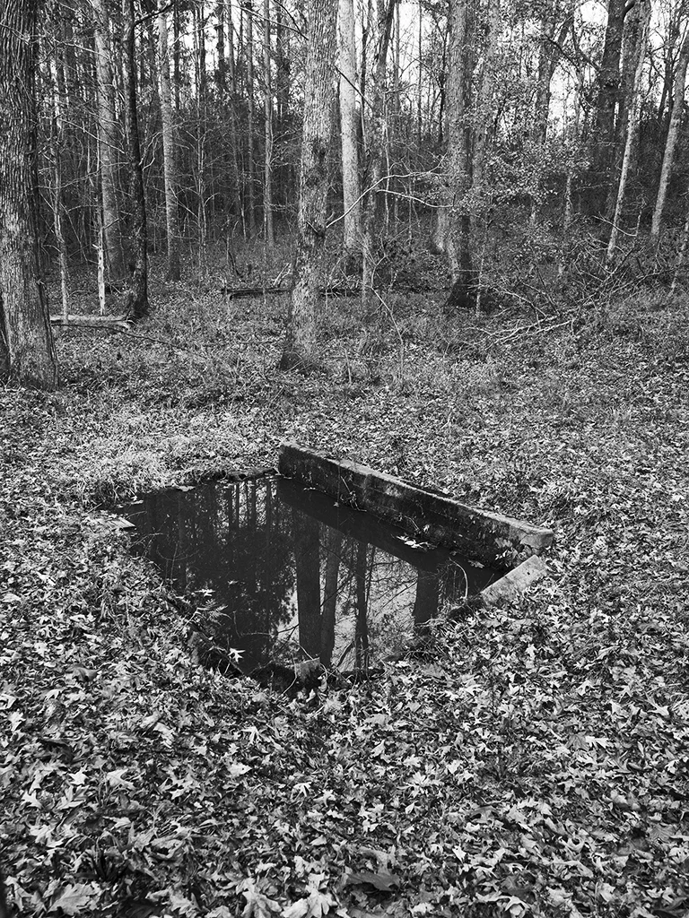Cleansed, 2016