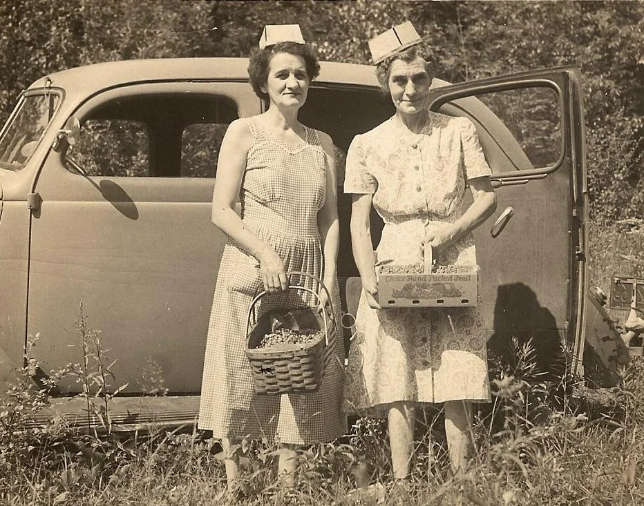Ladies out blueberry-ing in style, c 1940