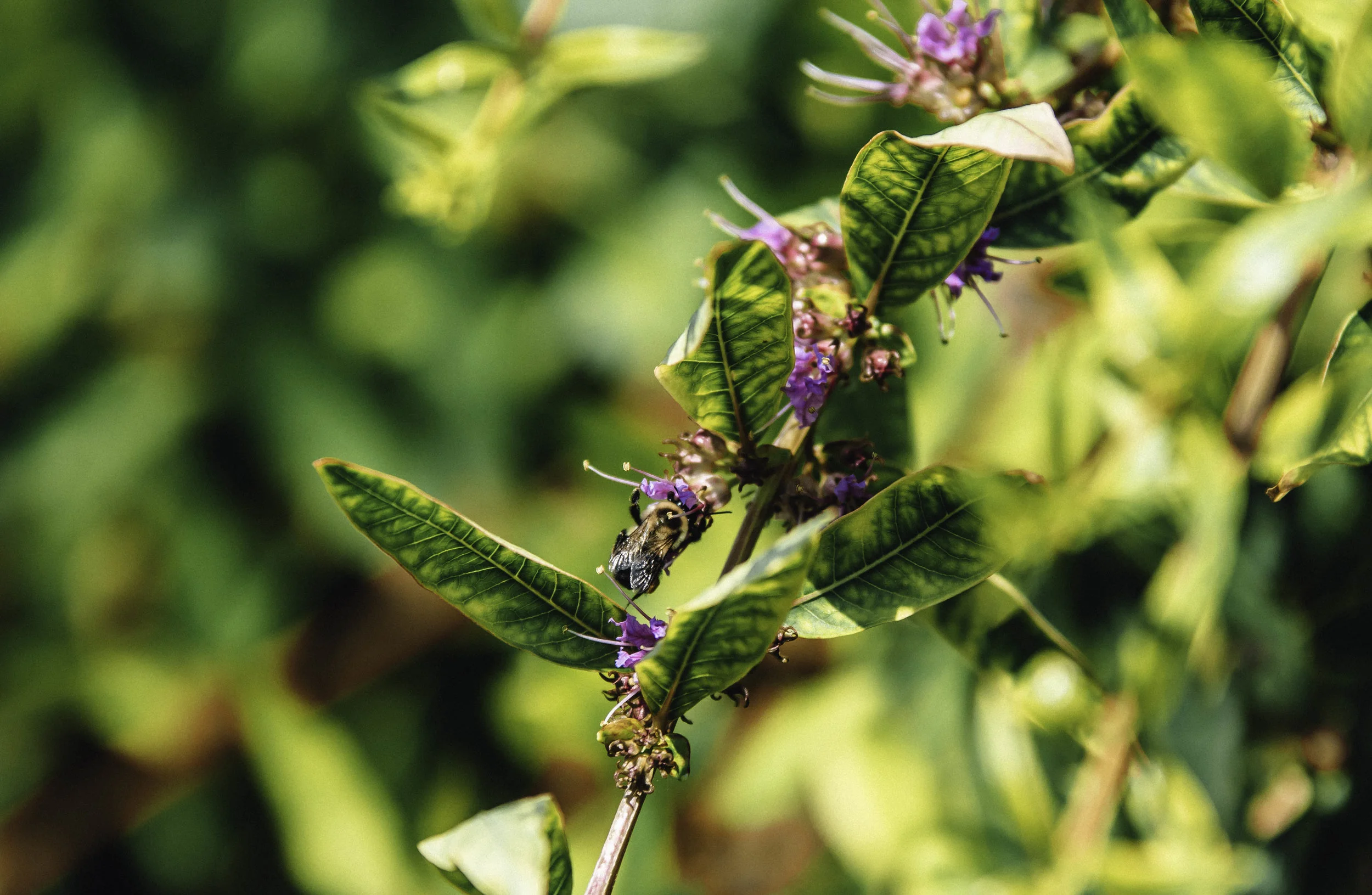 Get Involved background.jpg