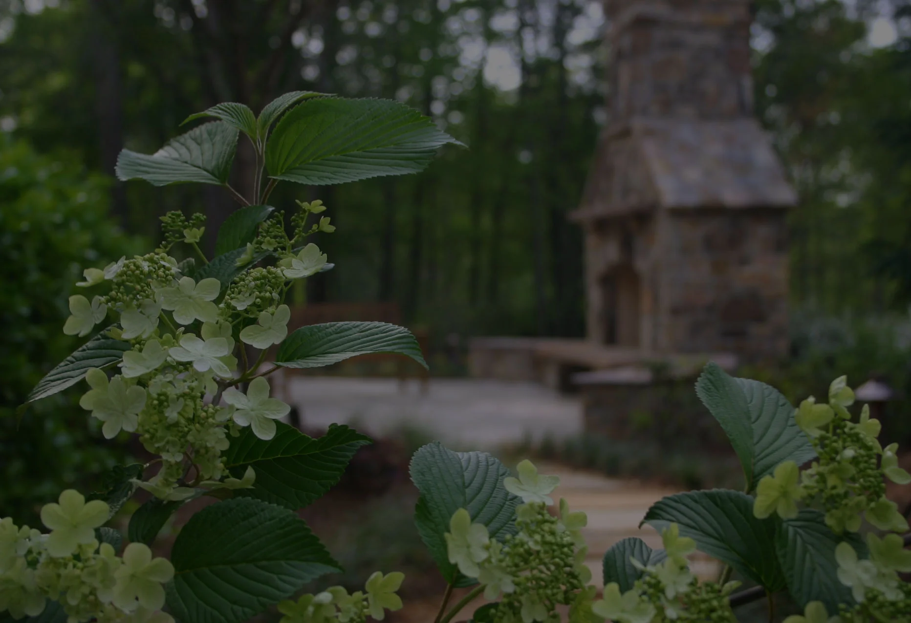 Landscape Company Alpharetta, GA Outside Landscape Group