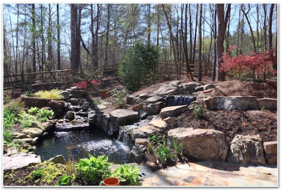 outside-landscape-group-backyard-design.png