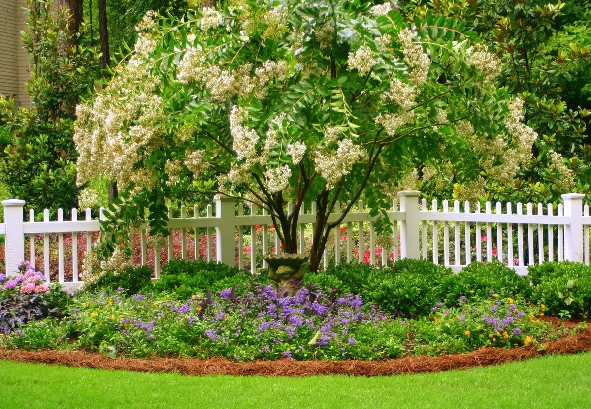 crape-spring.jpg