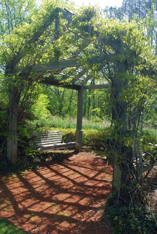 Arbor.jpg