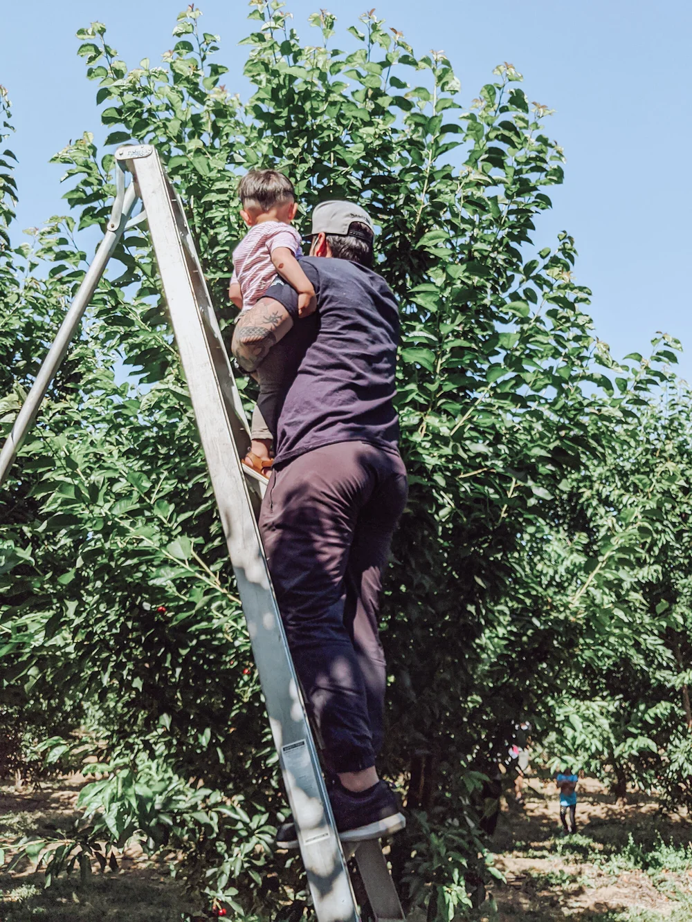 Shared from Lightroom mobile.jpg