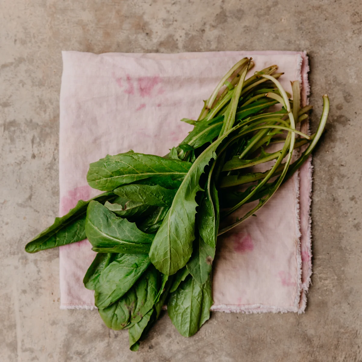 Food &amp; Fitness Friday: Dandelion Greens