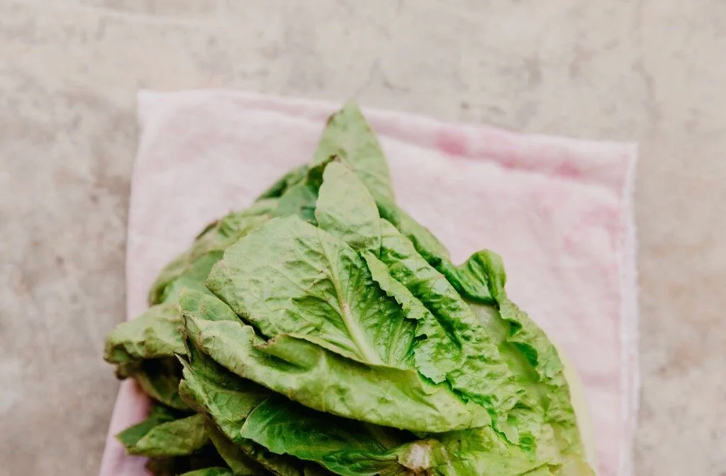 FOOD &amp; FITNESS FRIDAY: Romaine