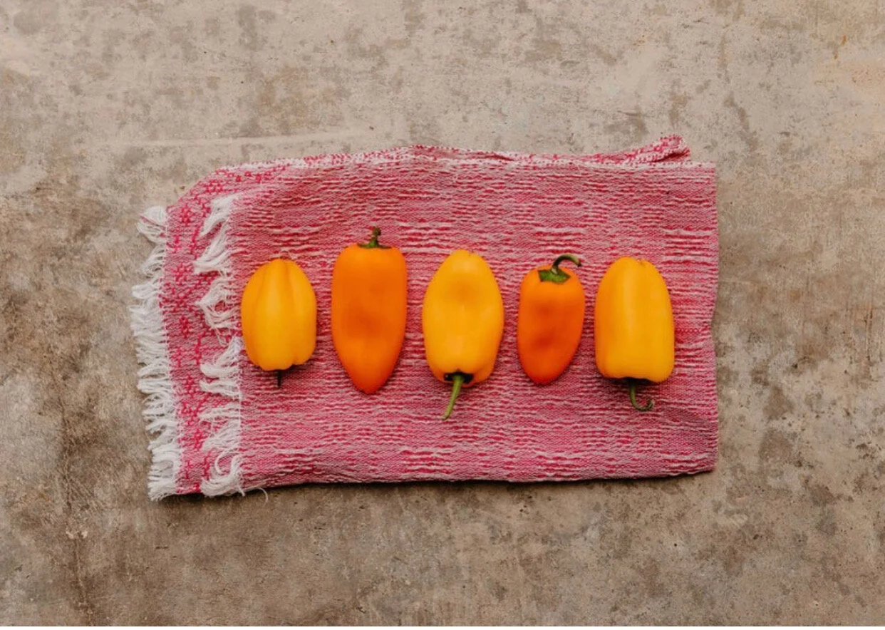 FOOD &amp; FITNESS FRIDAY: SWEET BELL PEPPERS