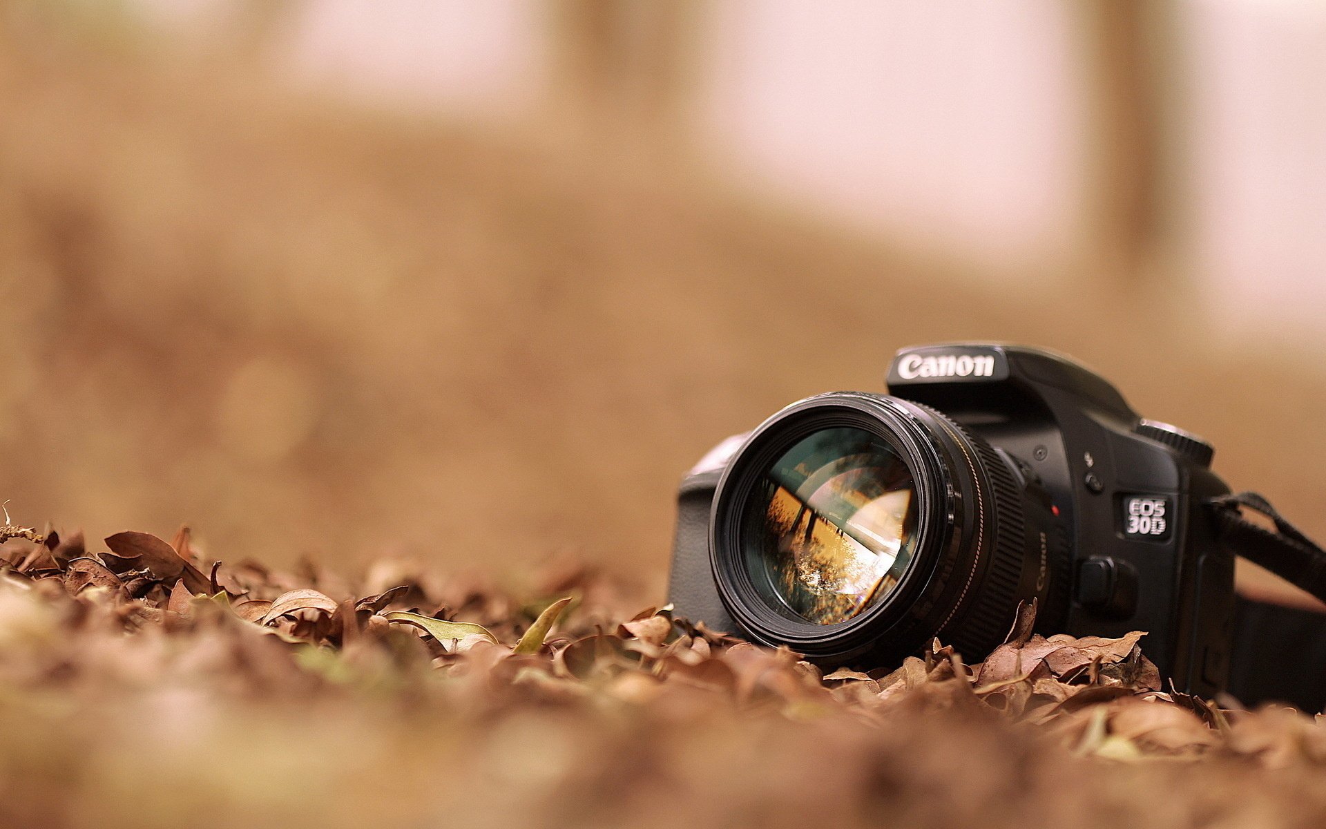 camera 2.jpg