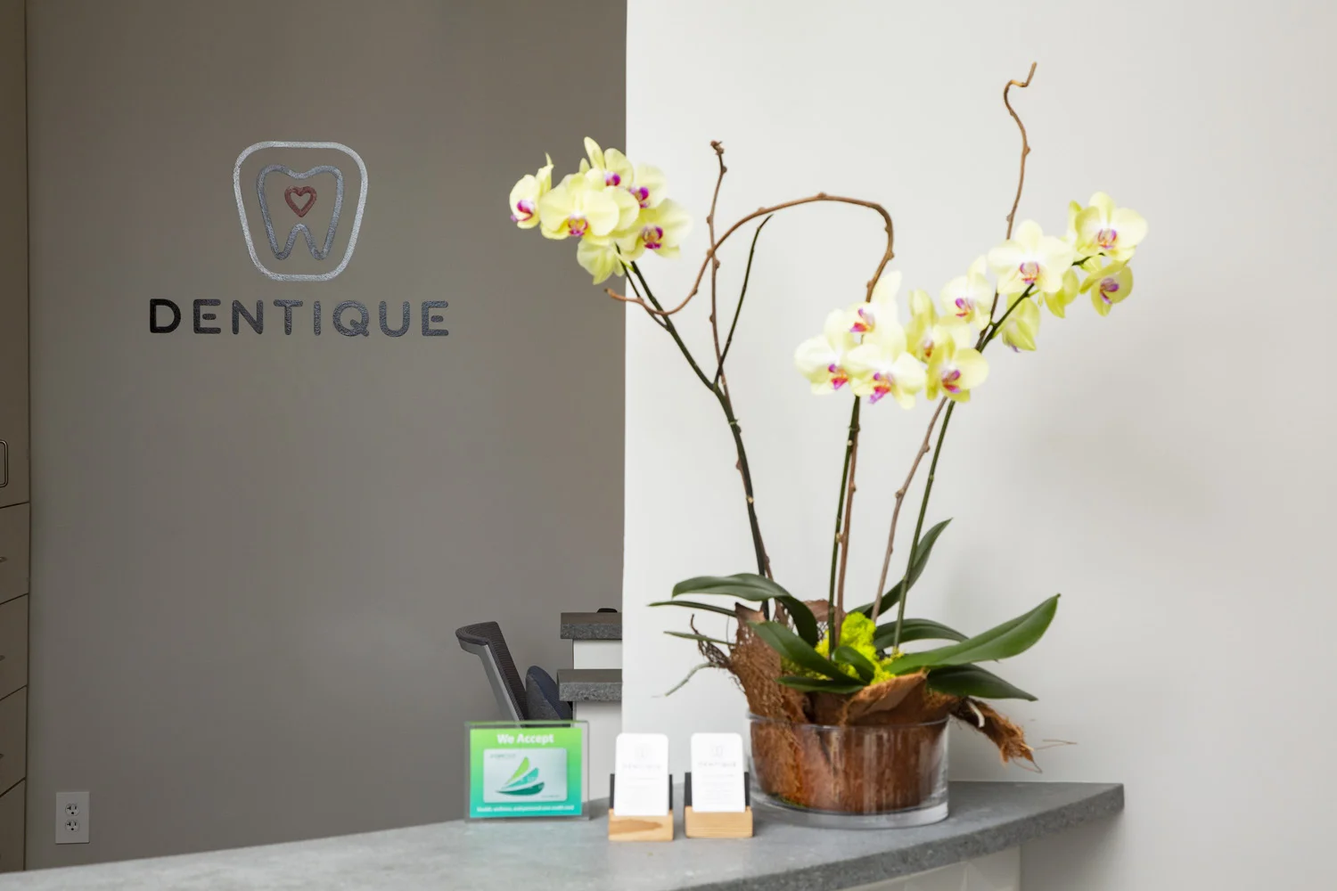 Dentique014_.jpg