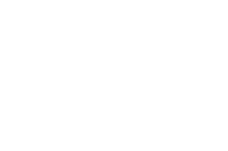 TWIN CITIES OPEN