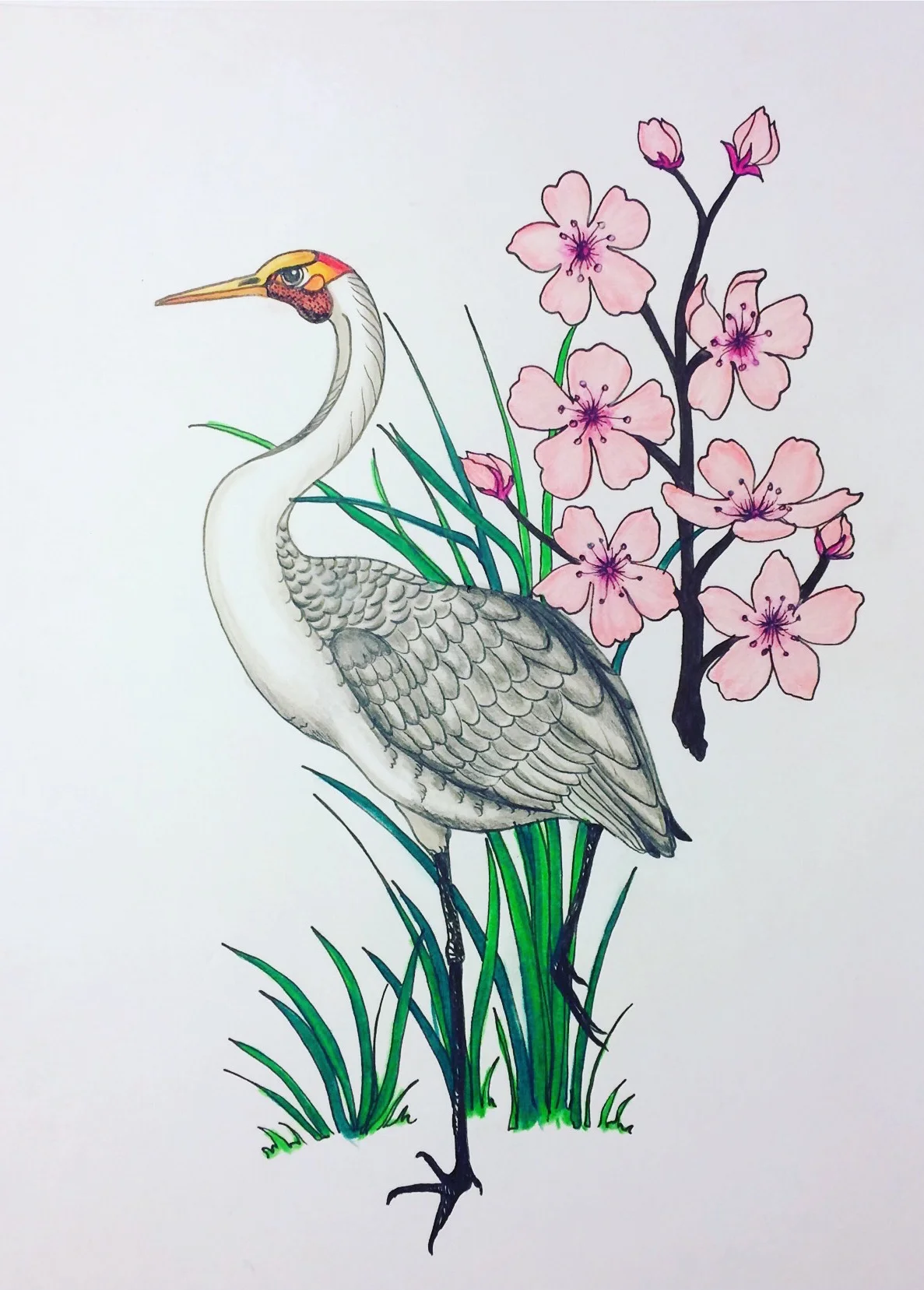 Spring