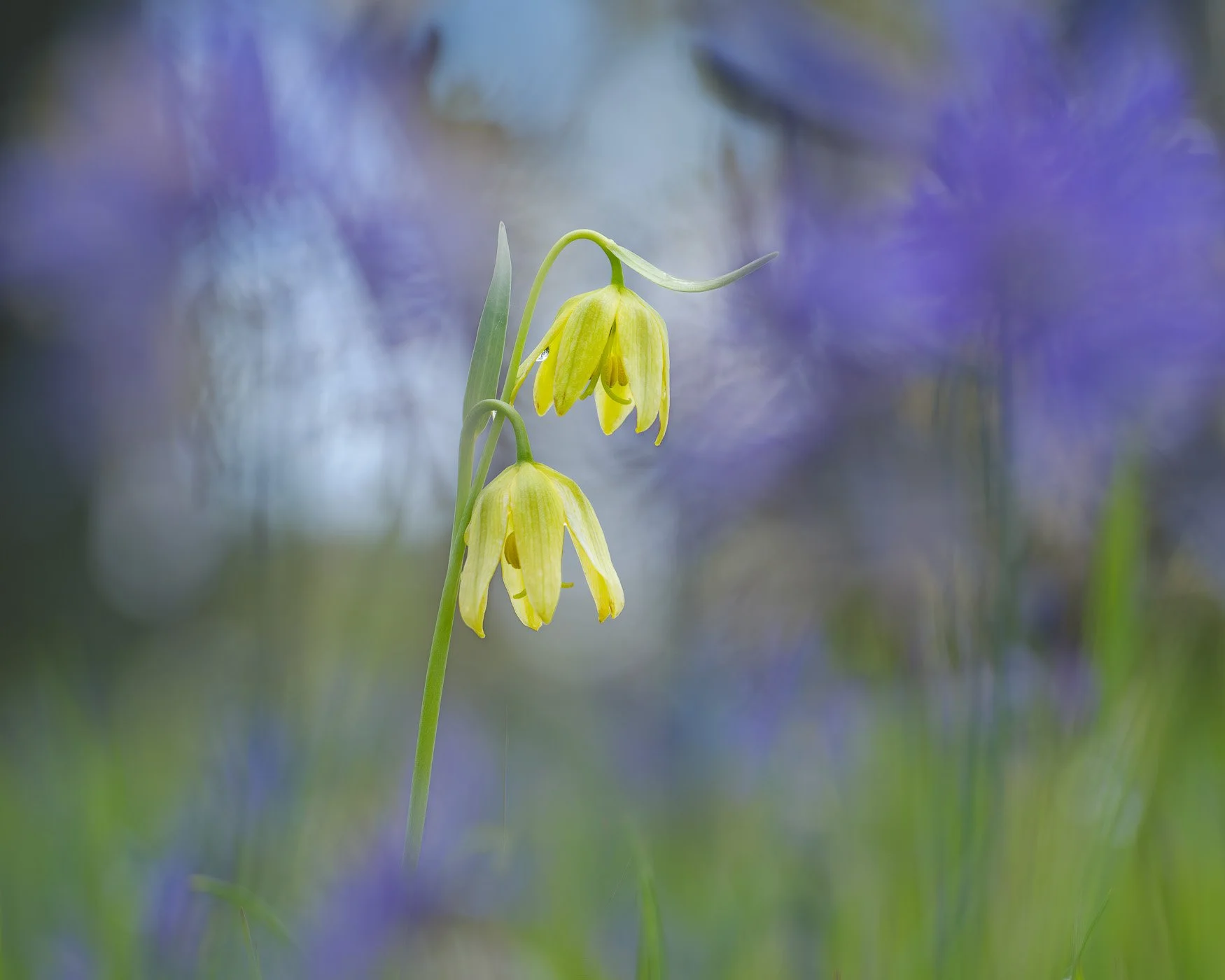 2024 Favourite Photo Print Sale — Quiet Light