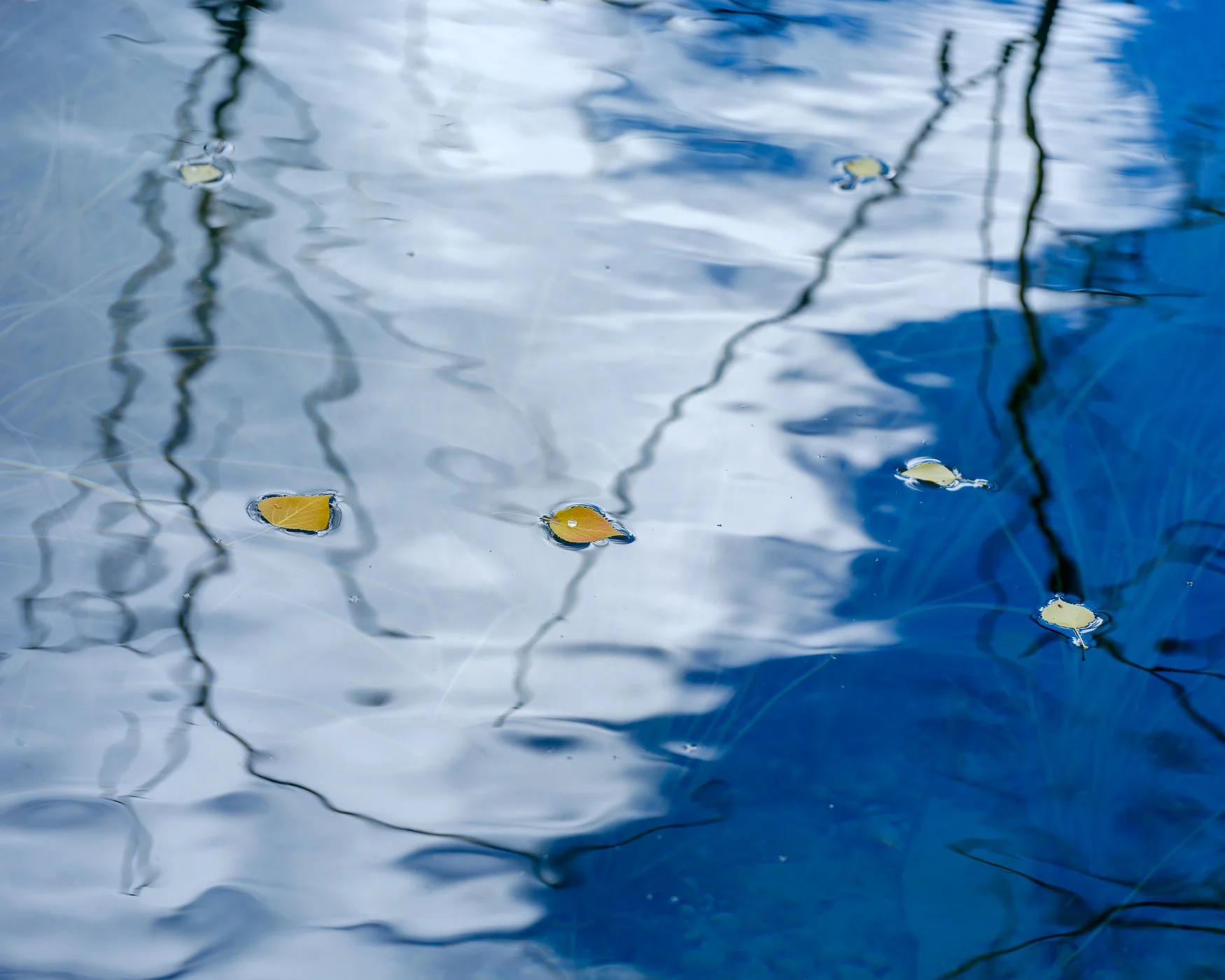 _DSF0498-Edit.jpg