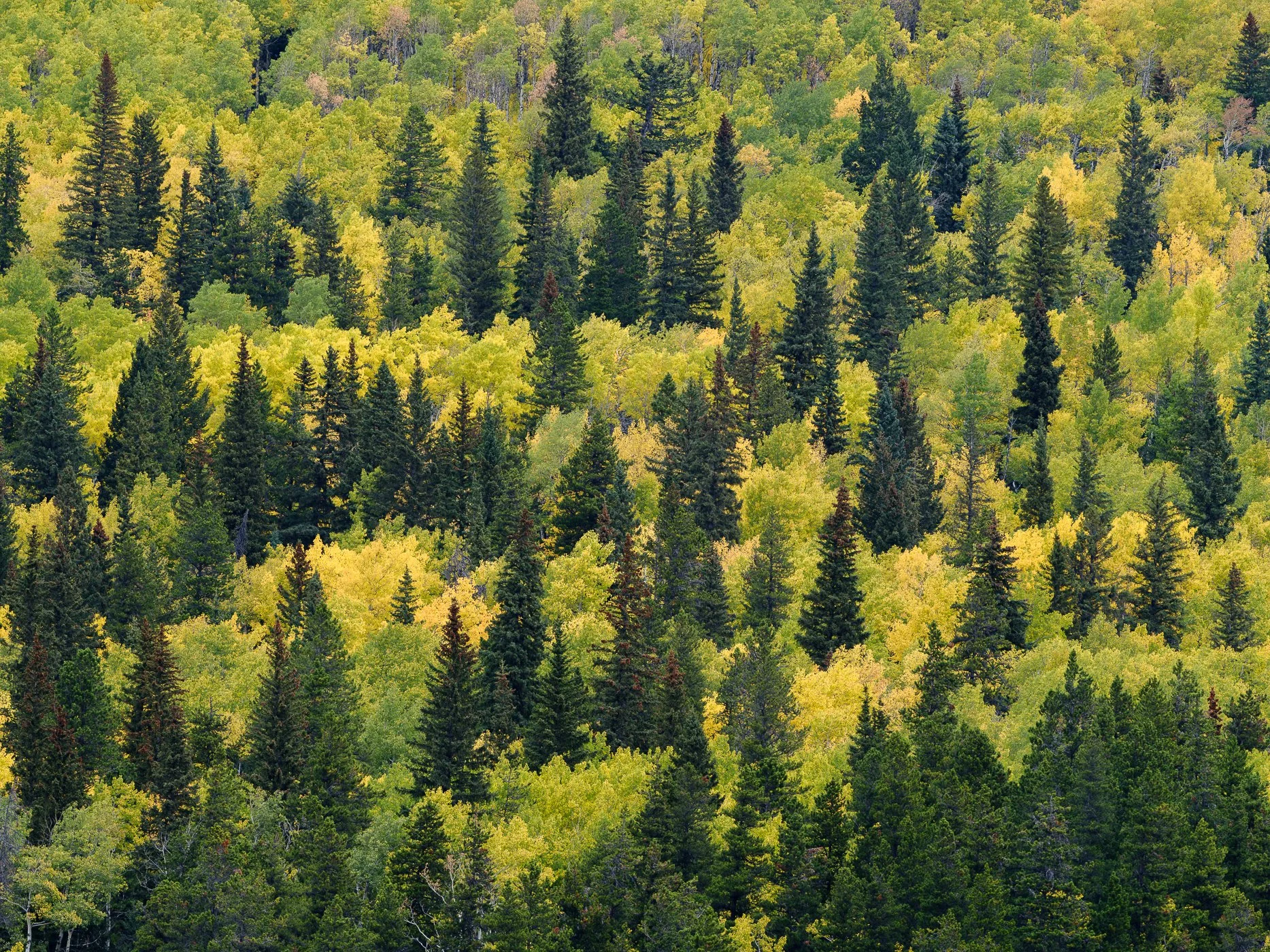 Canadian Rockies Sept 17-27th 2027