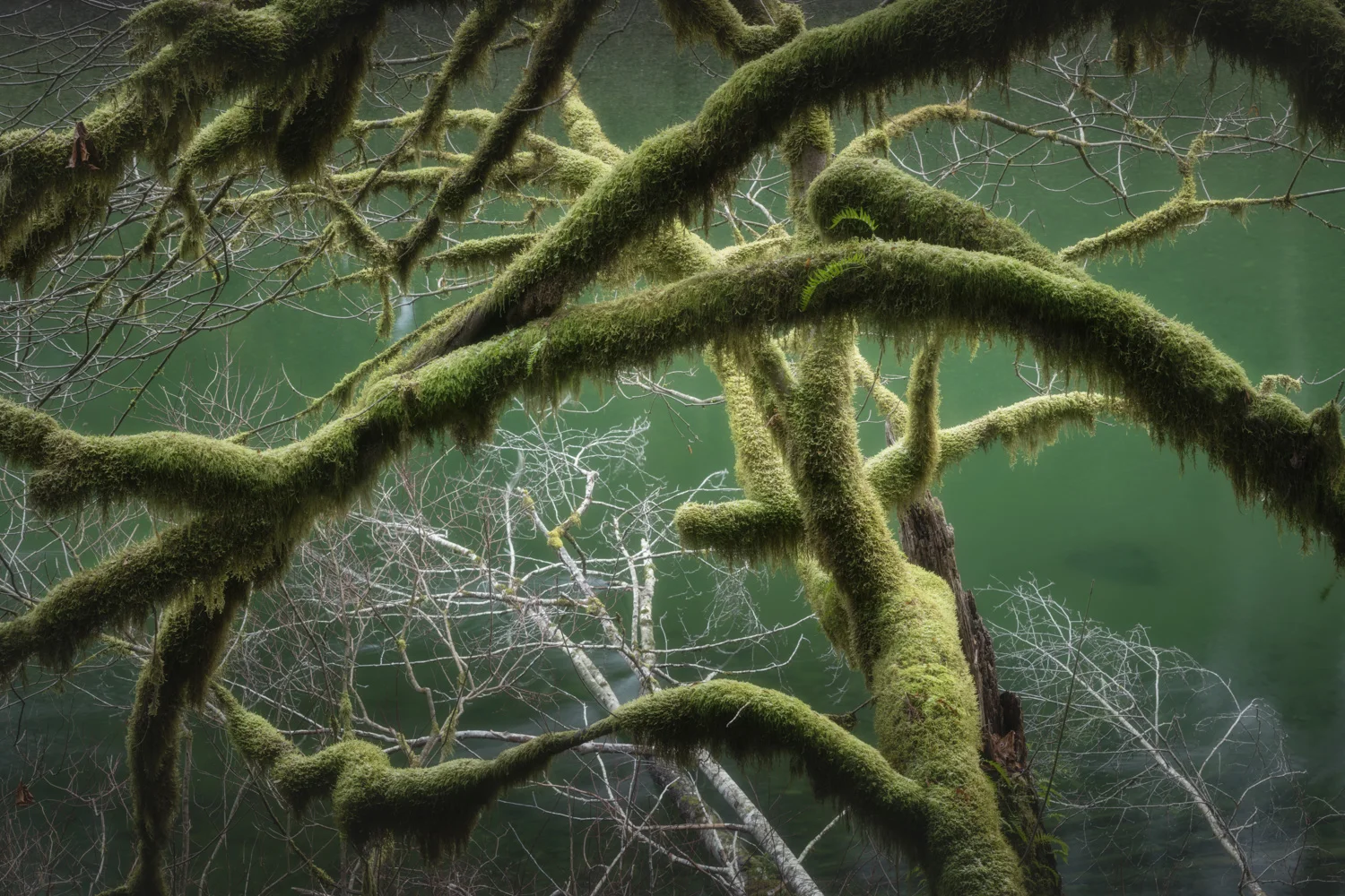 _ADG1673-Edit.jpg