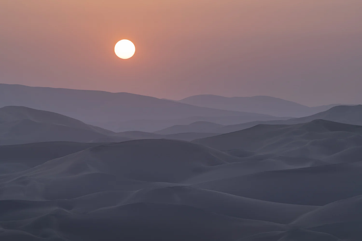 _ADG2316-Edit.jpg