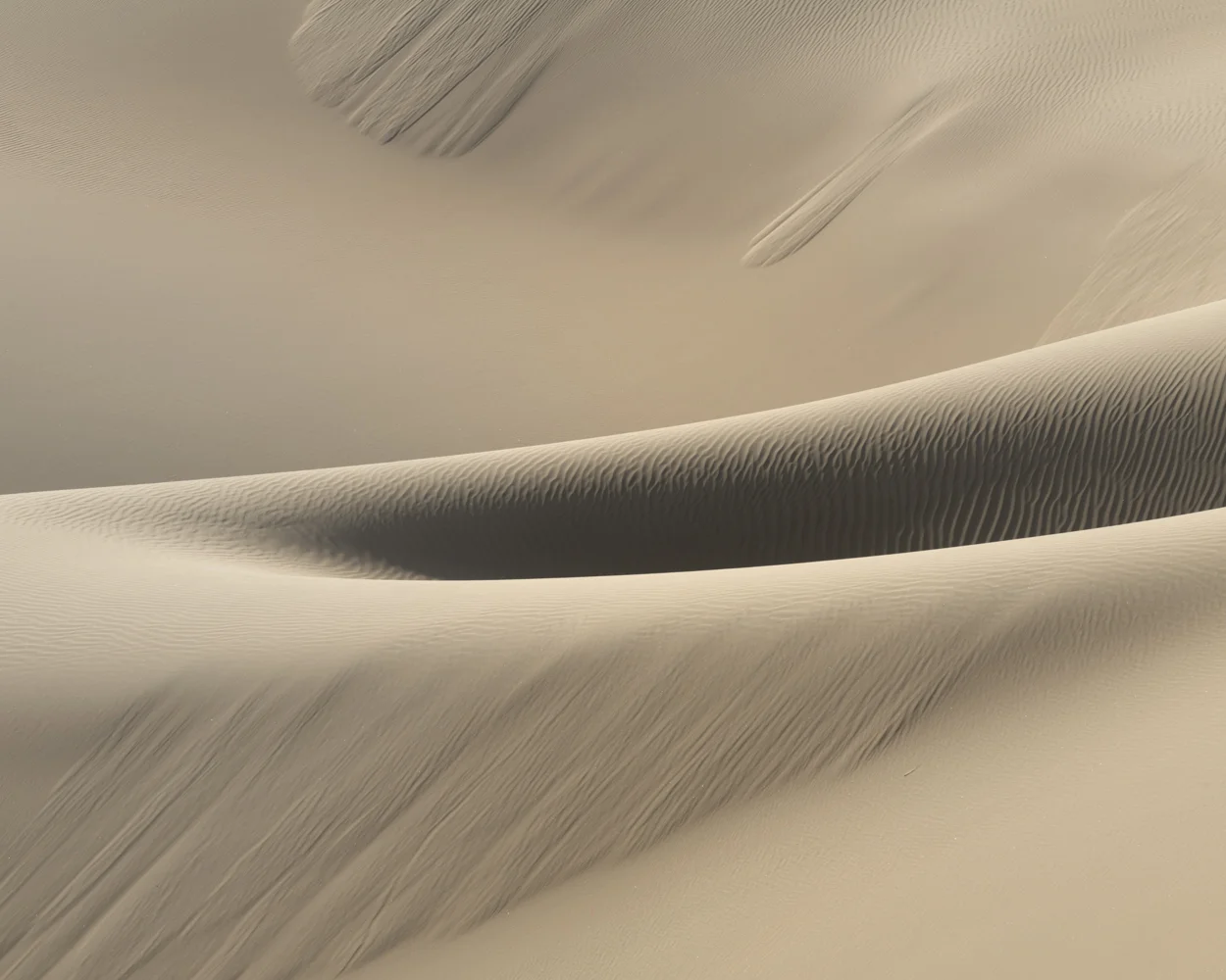 _ADG2524-Edit.jpg
