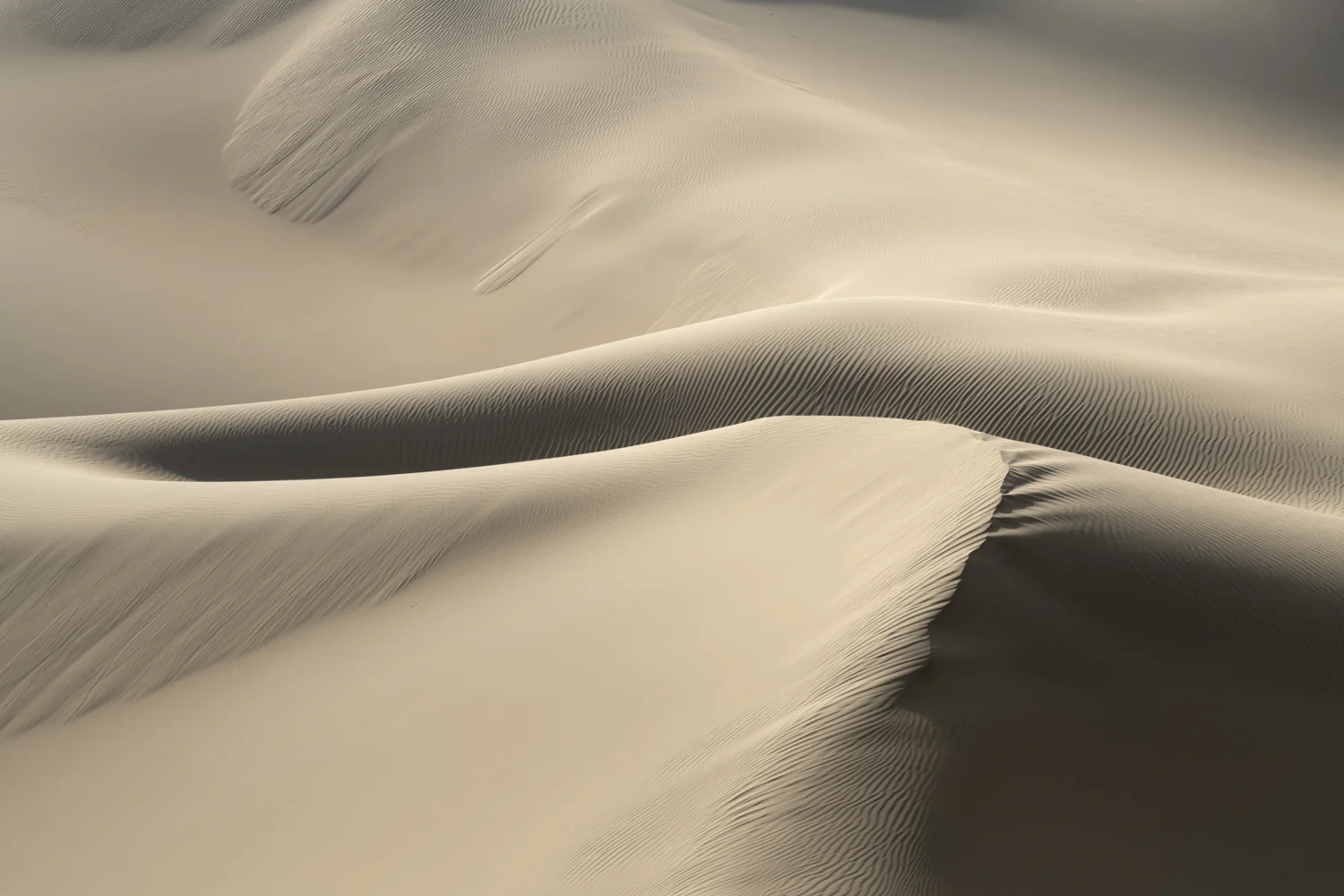 _ADG2530-Edit.jpg