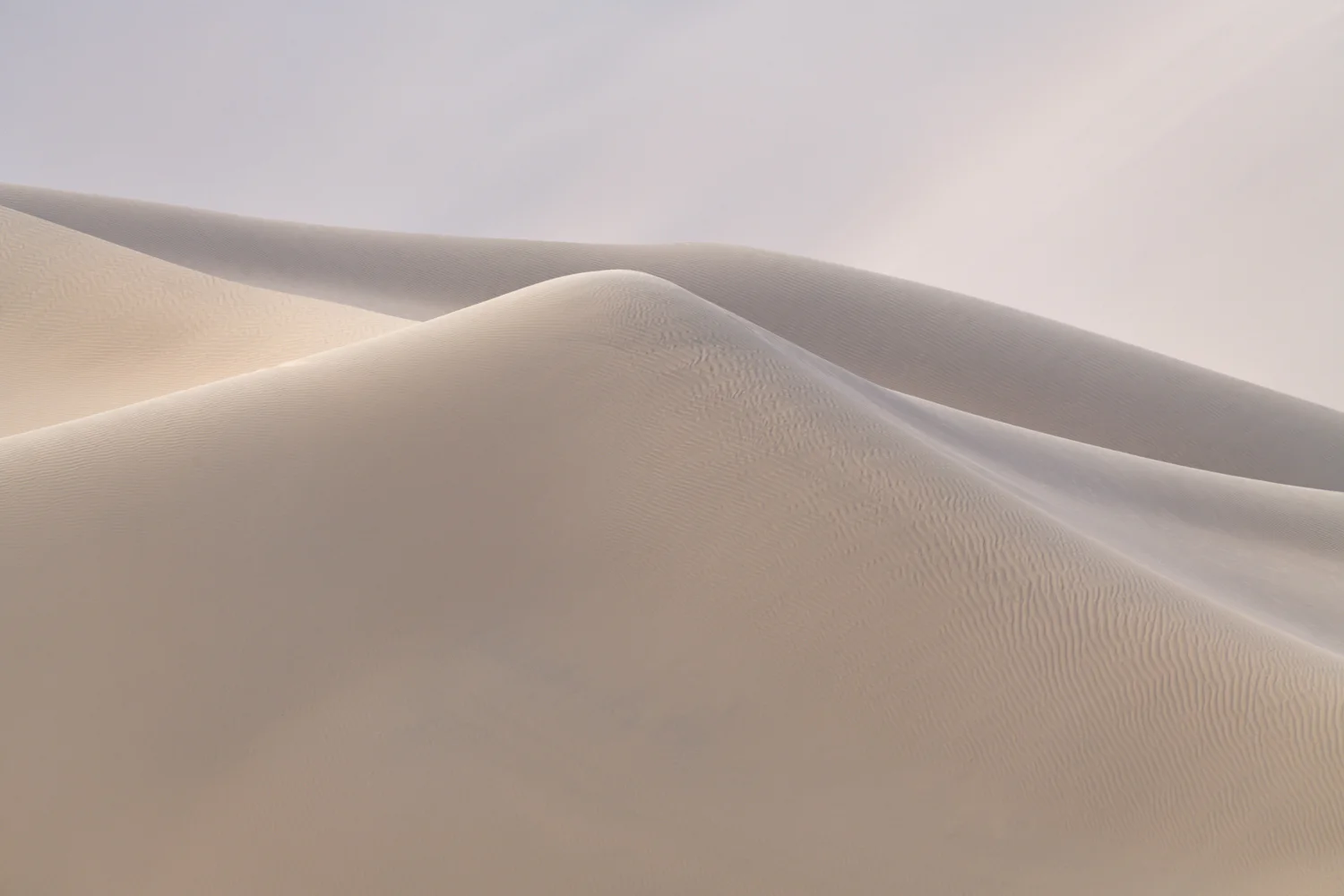 _ADG2770-Edit.jpg