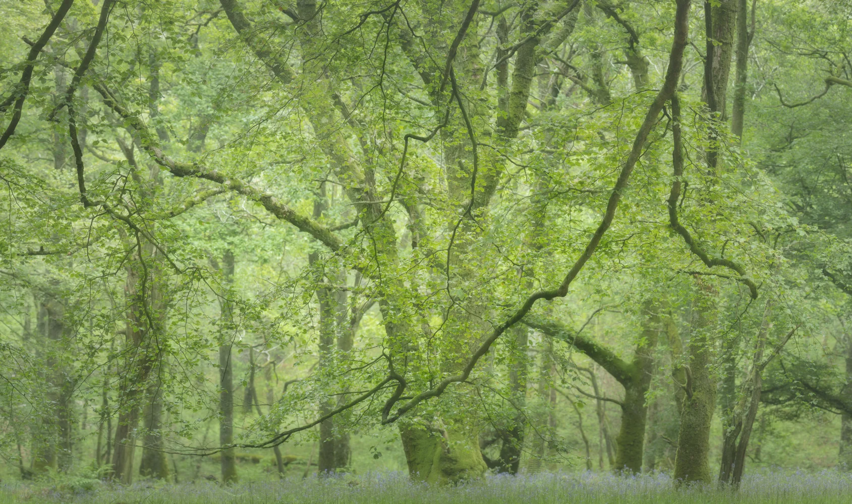_ADG0528-2-Pano-Edit.jpg