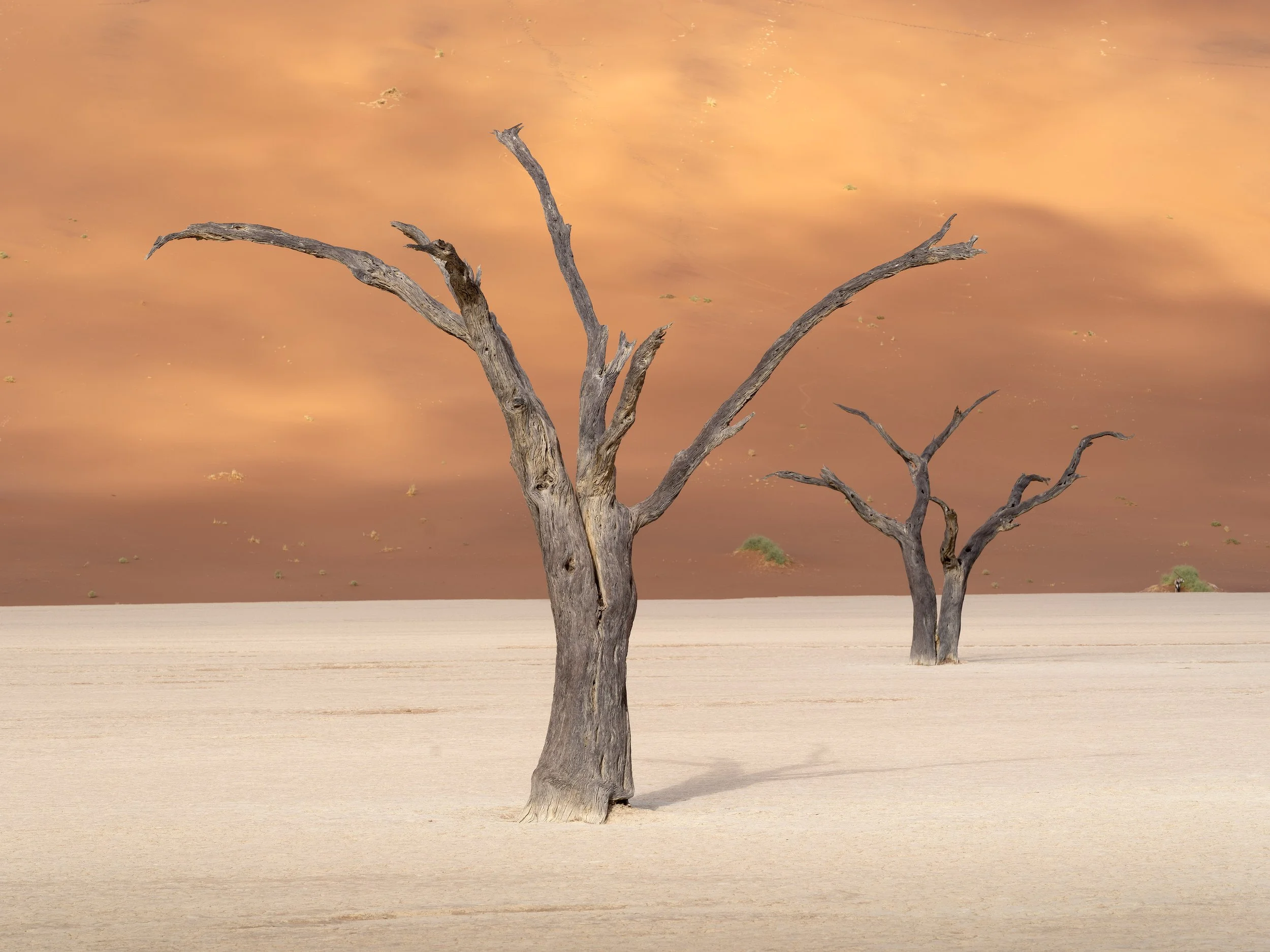 _DSF6513-Edit-copy.jpg
