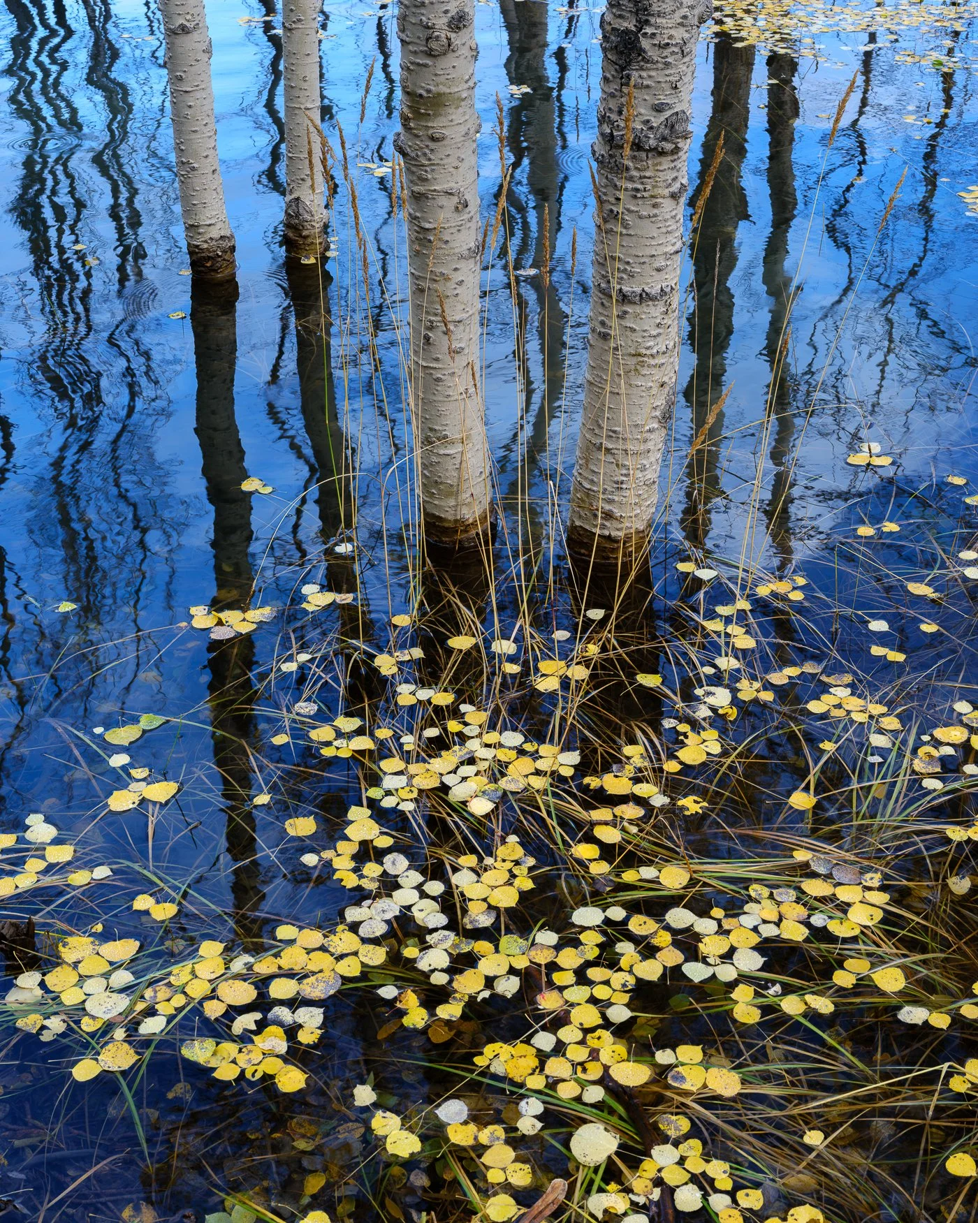 _DSF0402-Edit.jpg