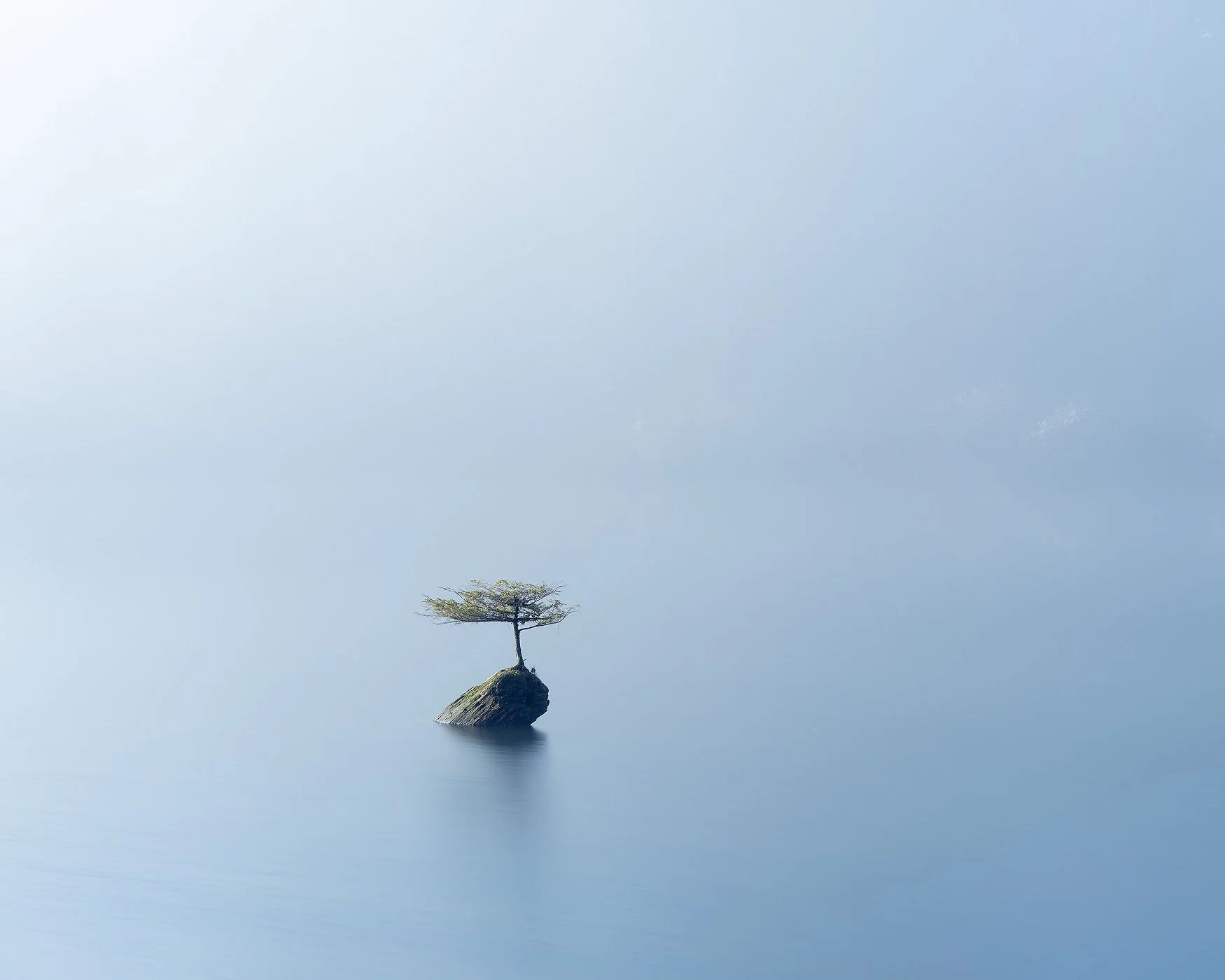 April 1st - 9th, 2027 Vancouver Island Tour
