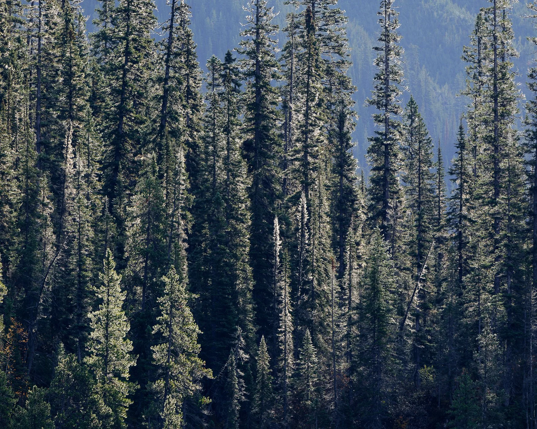 _DSF0610-Edit.jpg