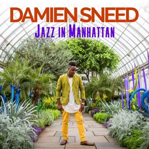 Jazz In Manhattan-Damien Sneed