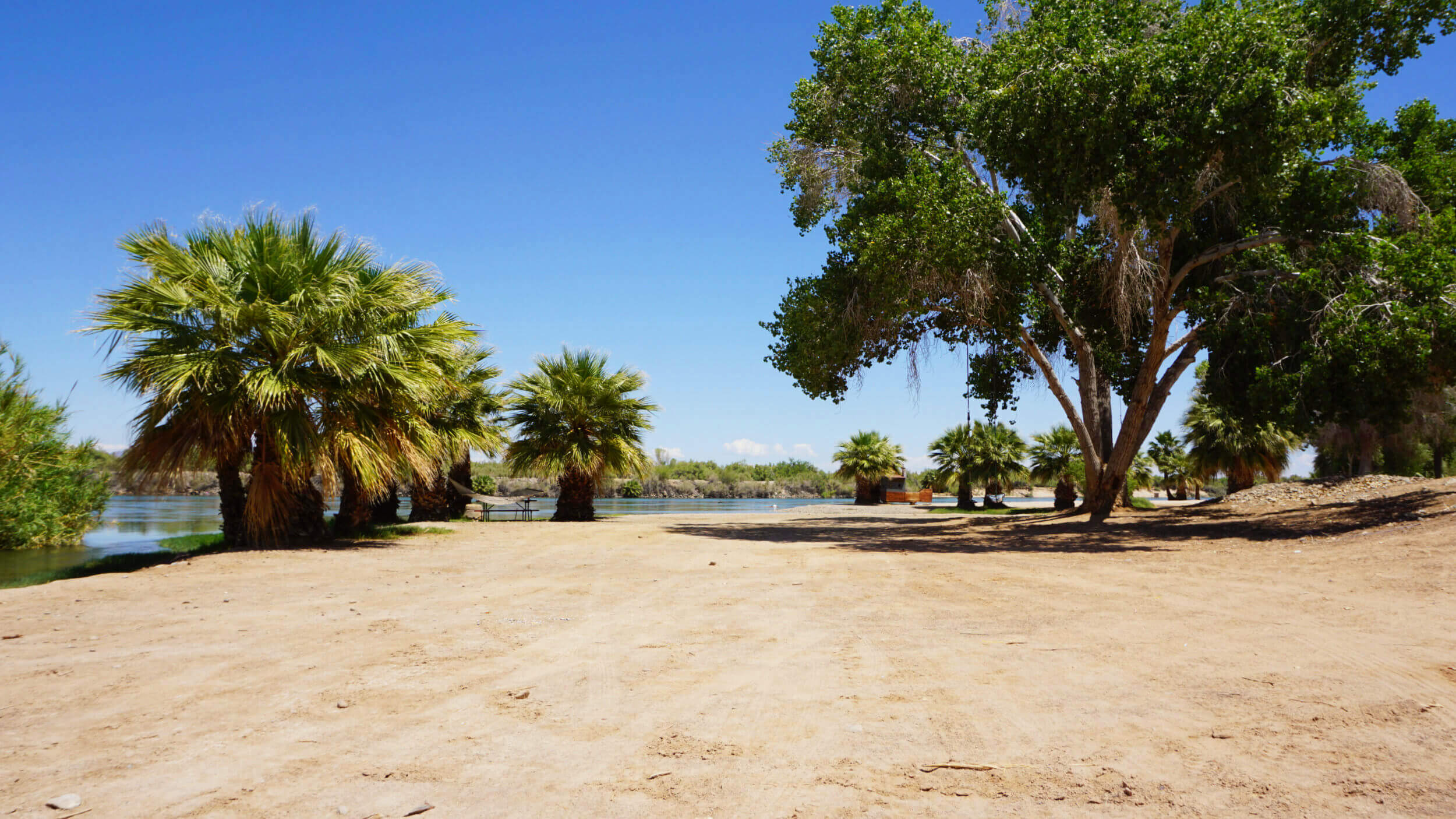 beach-arizona-oasis.jpg