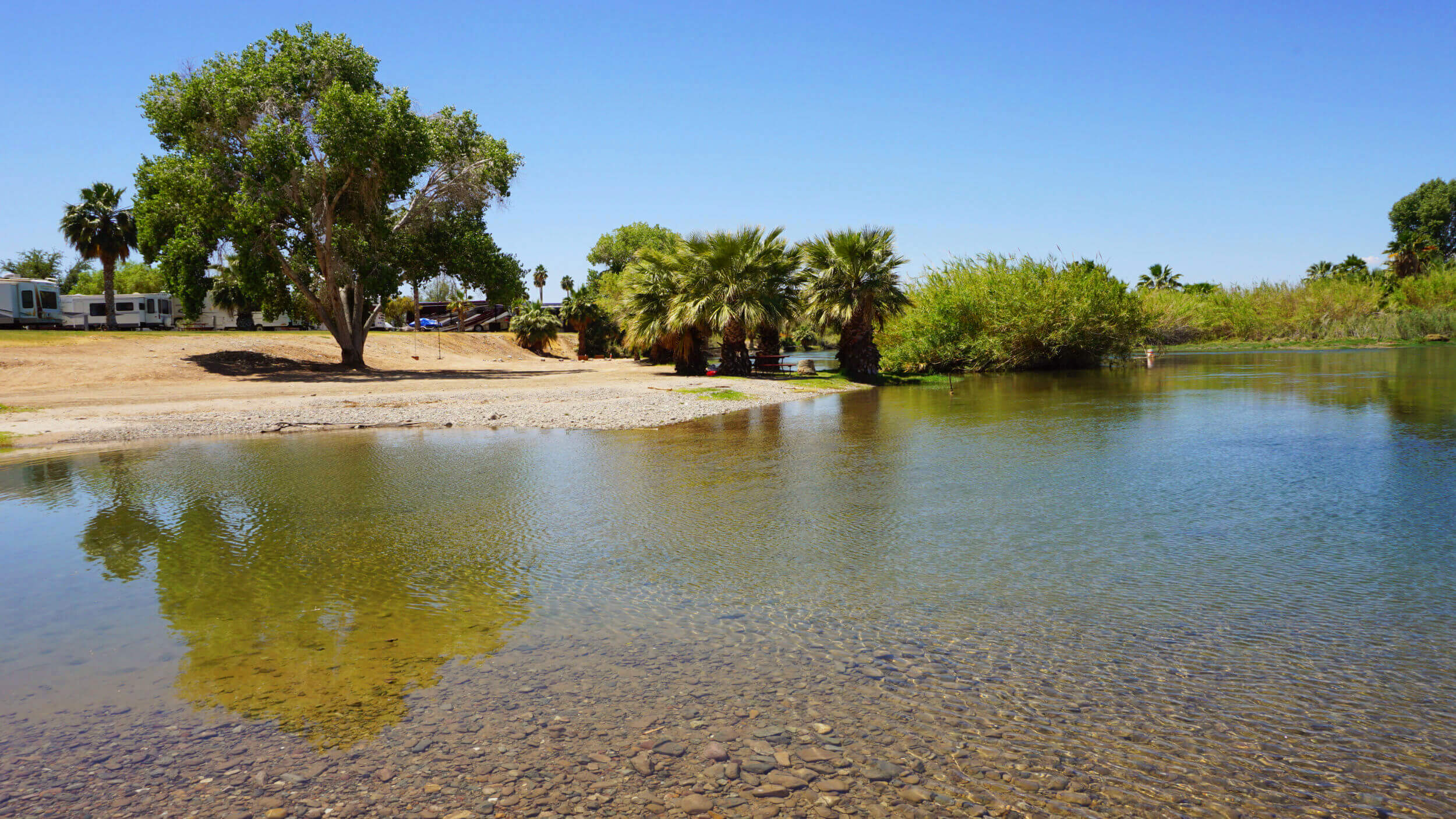 colorado-river-beach-arizona-oasis.jpg