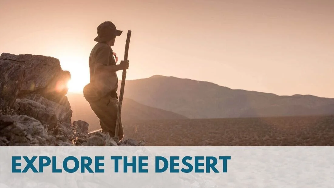 explore the desert.jpg