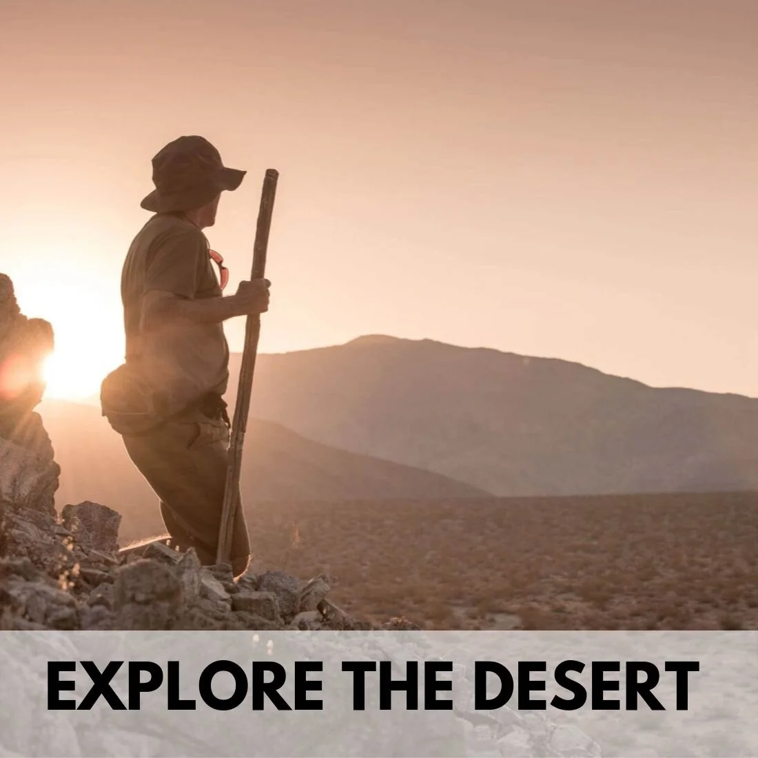 Explore the desert (1).jpg